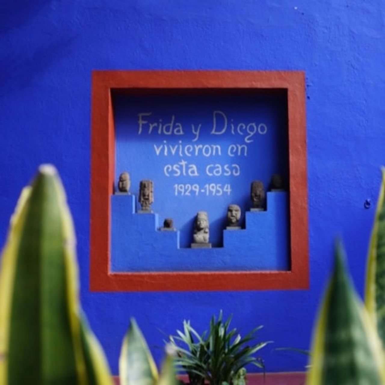 Museo Frida Kahlo: Biglietto d'ingresso