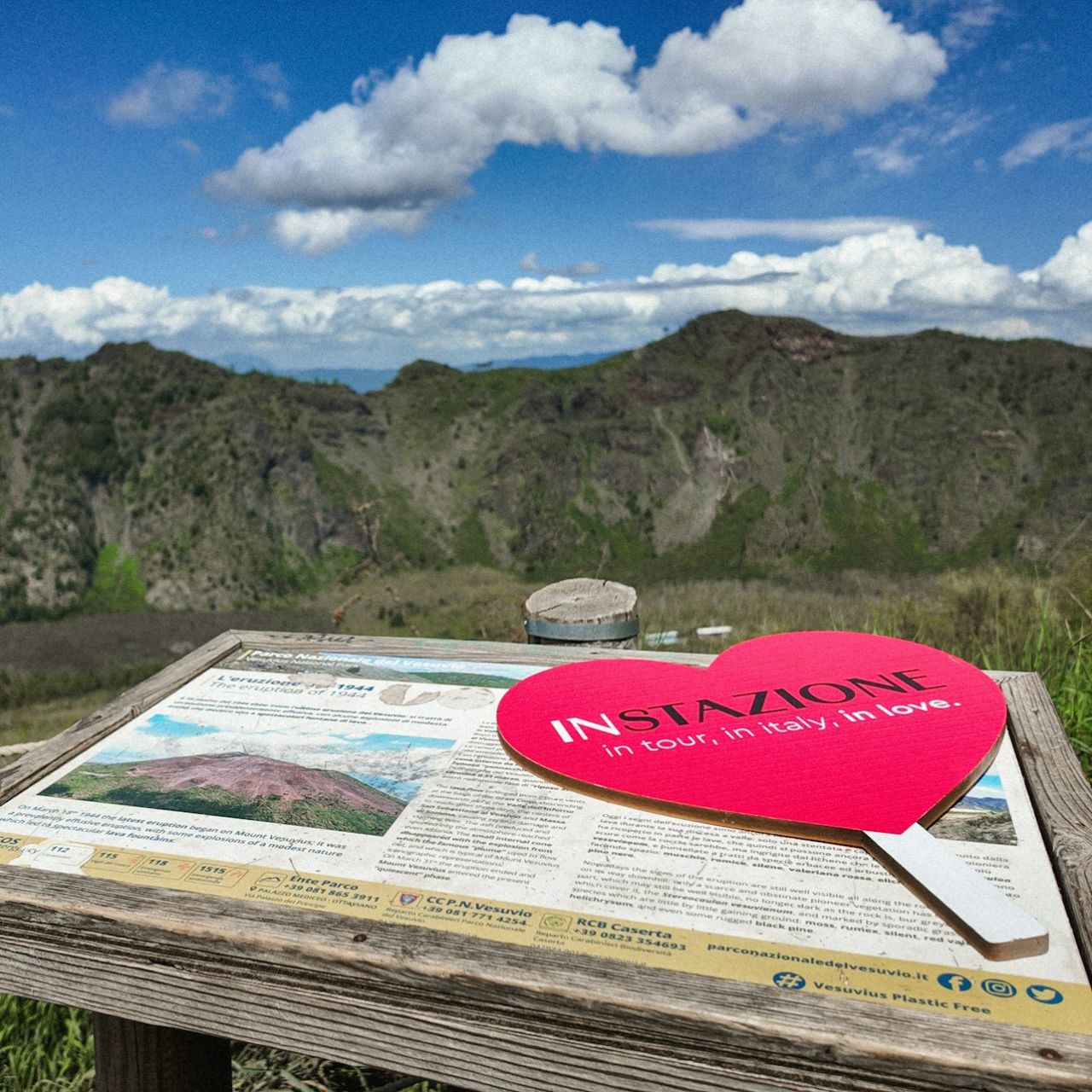 Vesuvio: Biglietto salta-coda + Audioguida digitale — 8