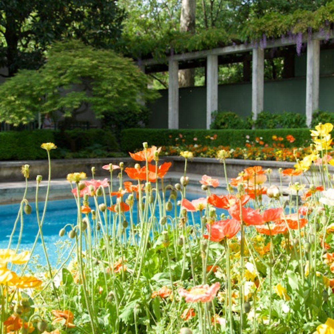 Villa Necchi Campiglio: Biglietto d'ingresso — 2