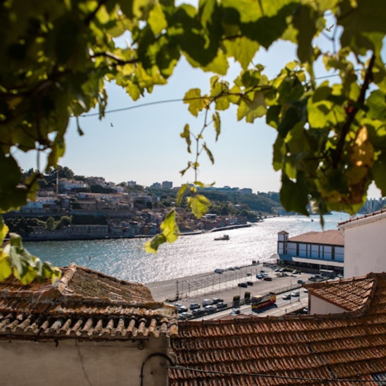 Porto: A Casa do Fado - Sao Joao Novo — 2