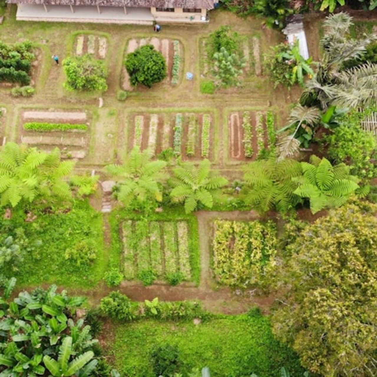 Bali: Corso di cucina del villaggio di Ubud e tour della fattoria biologica — 7