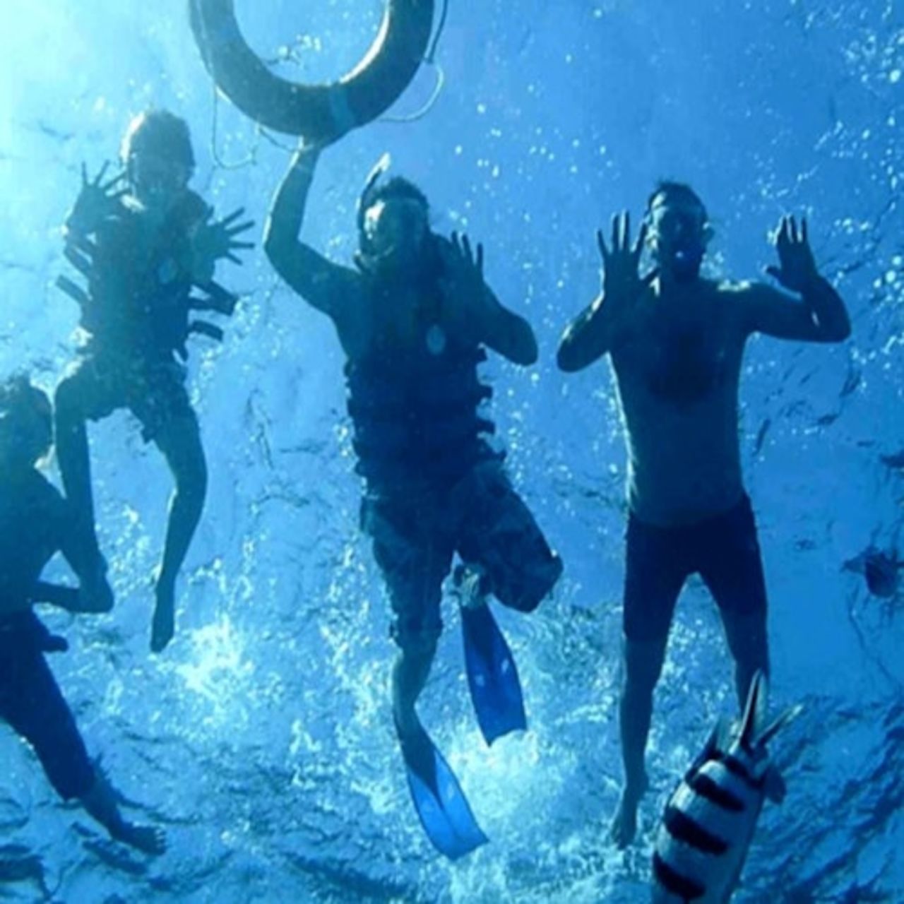 Escursione di snorkeling alla Dolphin House di Hurghada — 8