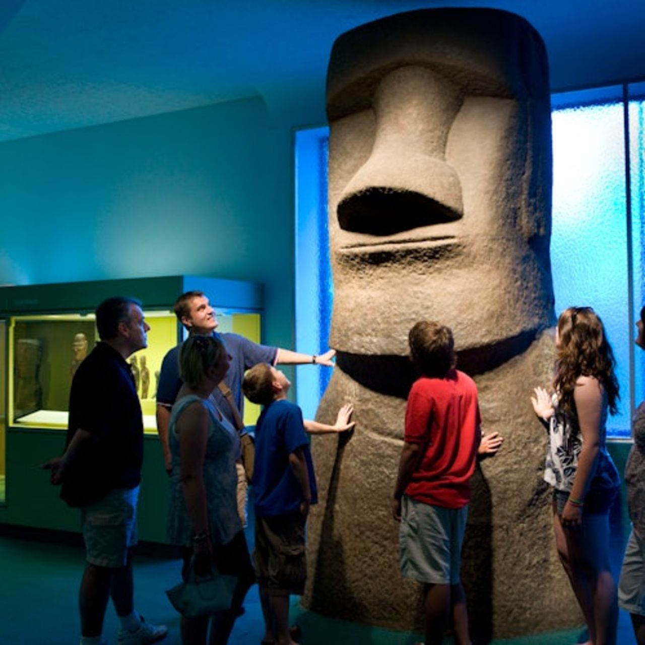 American Museum of Natural History (AMNH): Biglietto d'ingresso — 4