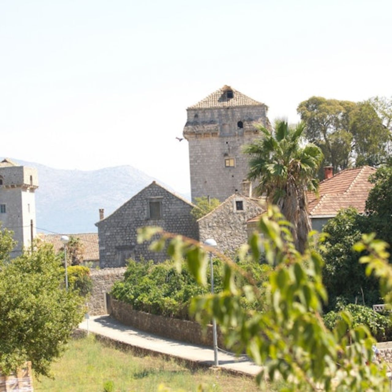 Dubrovnik: Escursione sulle isole Elafiti + Pranzo opzionale — 7