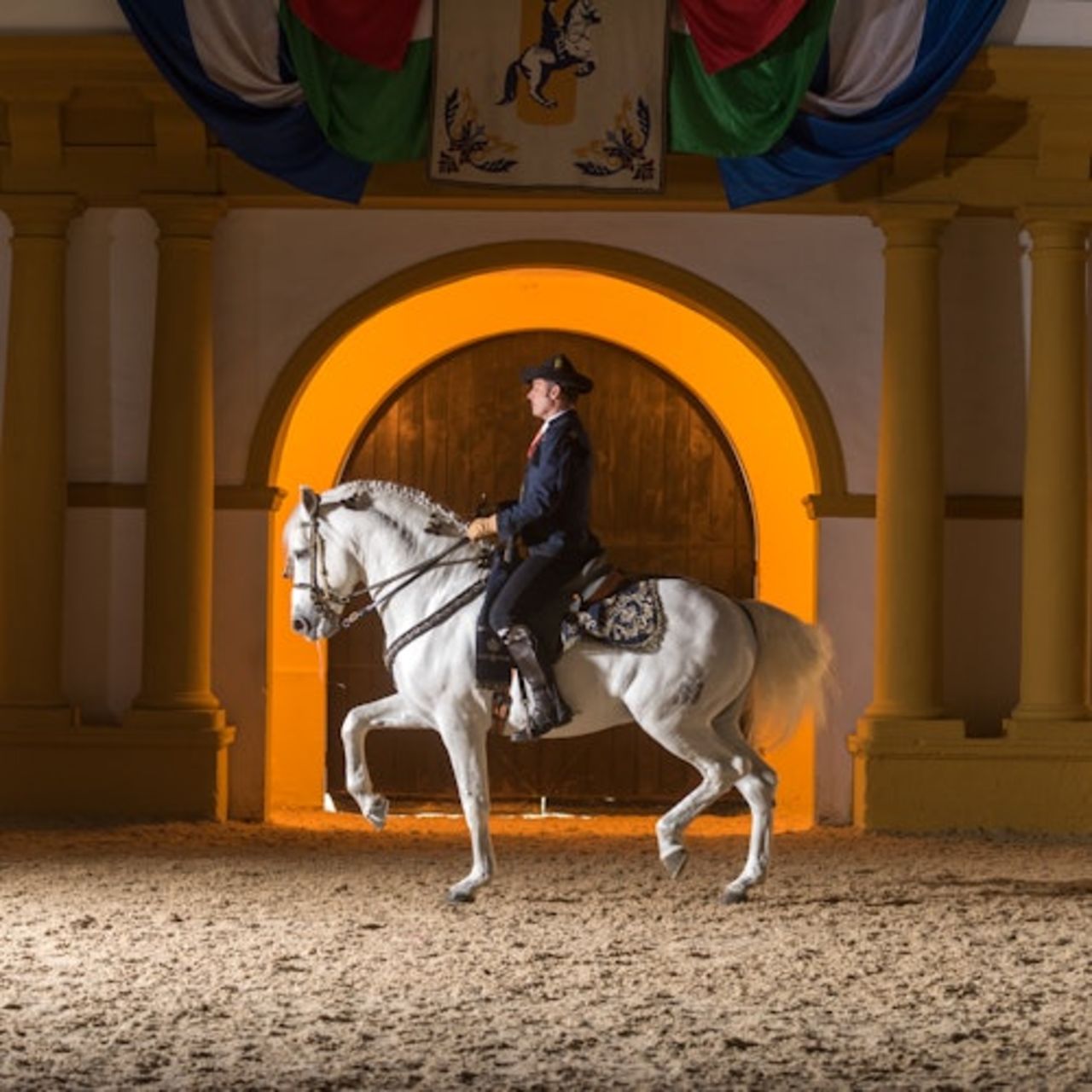 Scuola Reale Andalusa di Arte Equestre: Visita completa + Upgrade VIP opzionale