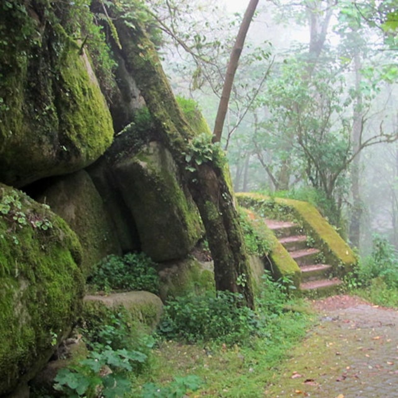 Parco Pena a Sintra: Biglietto d'ingresso — 4
