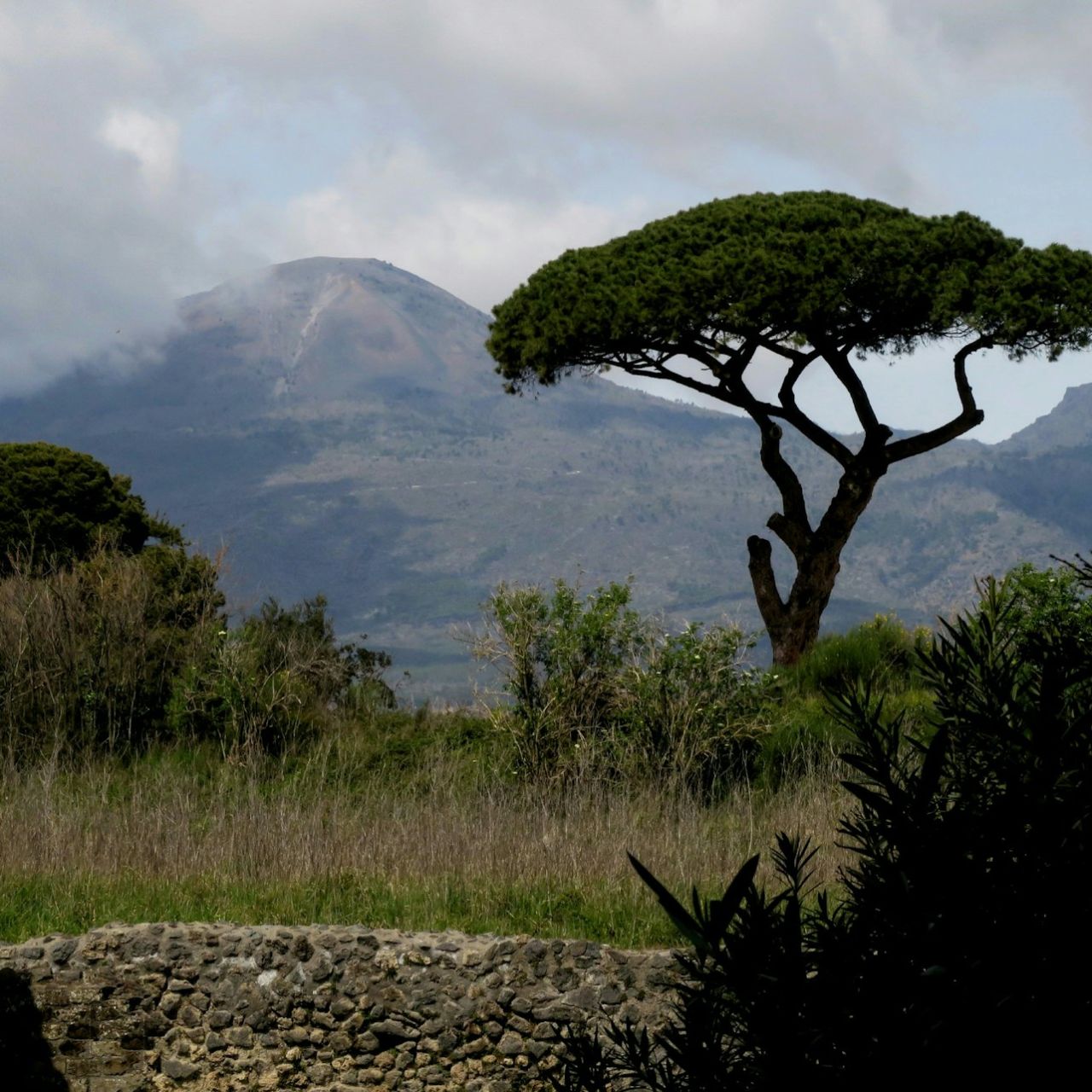 Vesuvio: Solo trasporto da Napoli — 3
