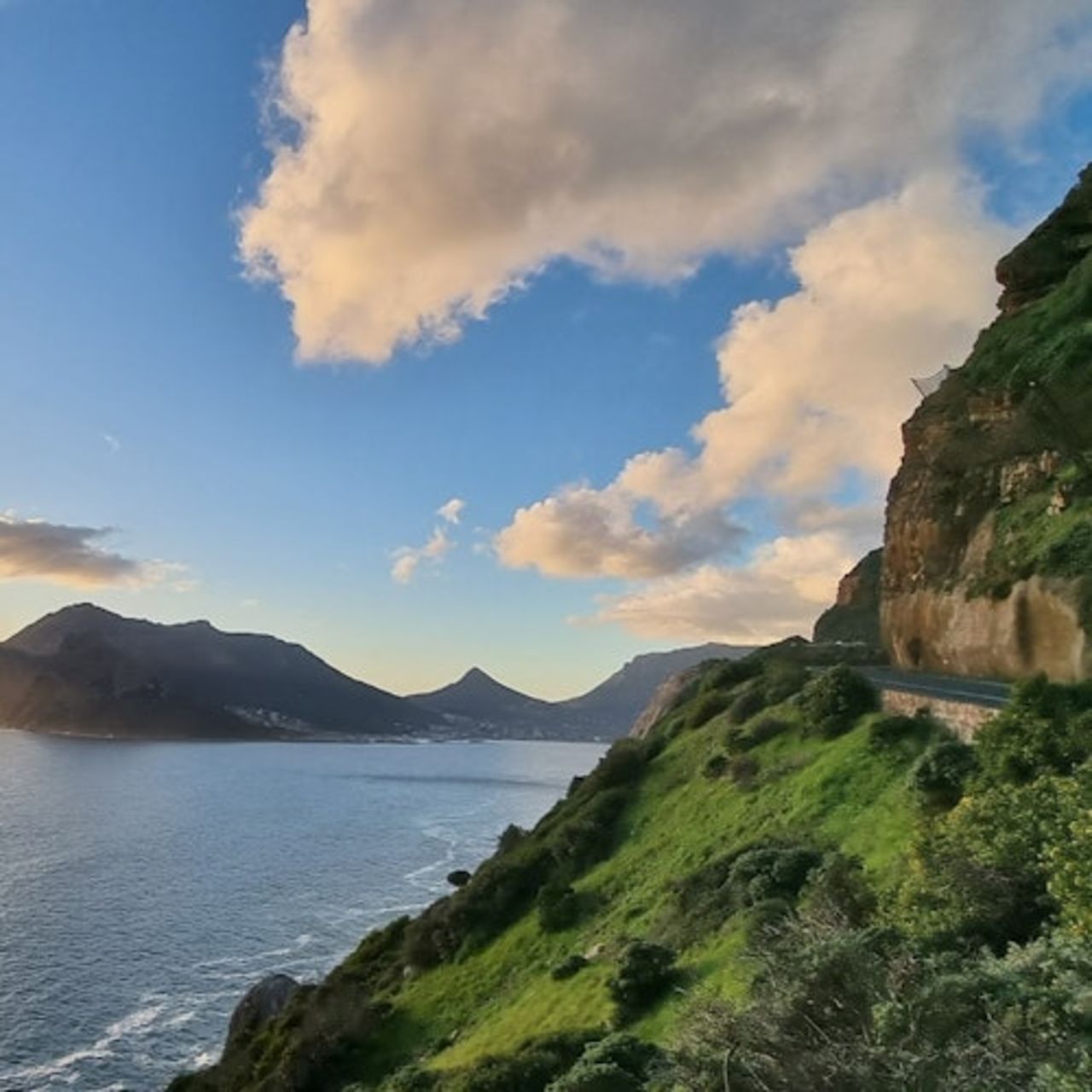 Penisola del Capo: Tour guidato di un'intera giornata + trasferimento di andata e ritorno