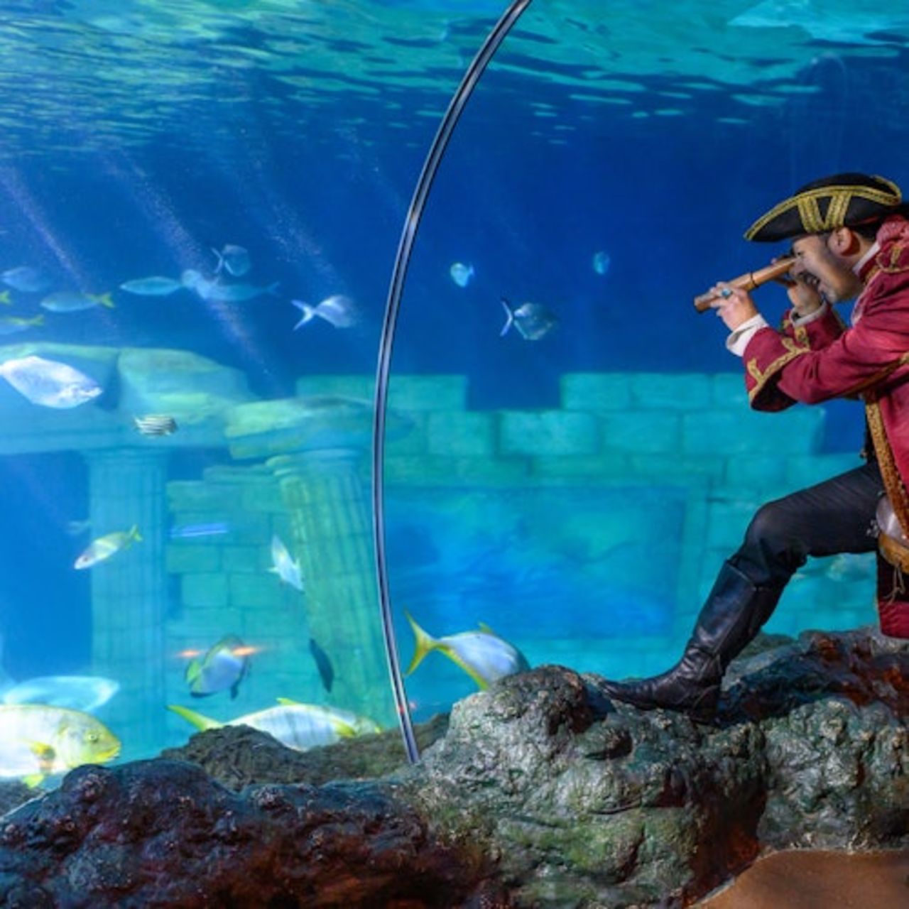 SEA LIFE Porto: Biglietto d'ingresso — 7