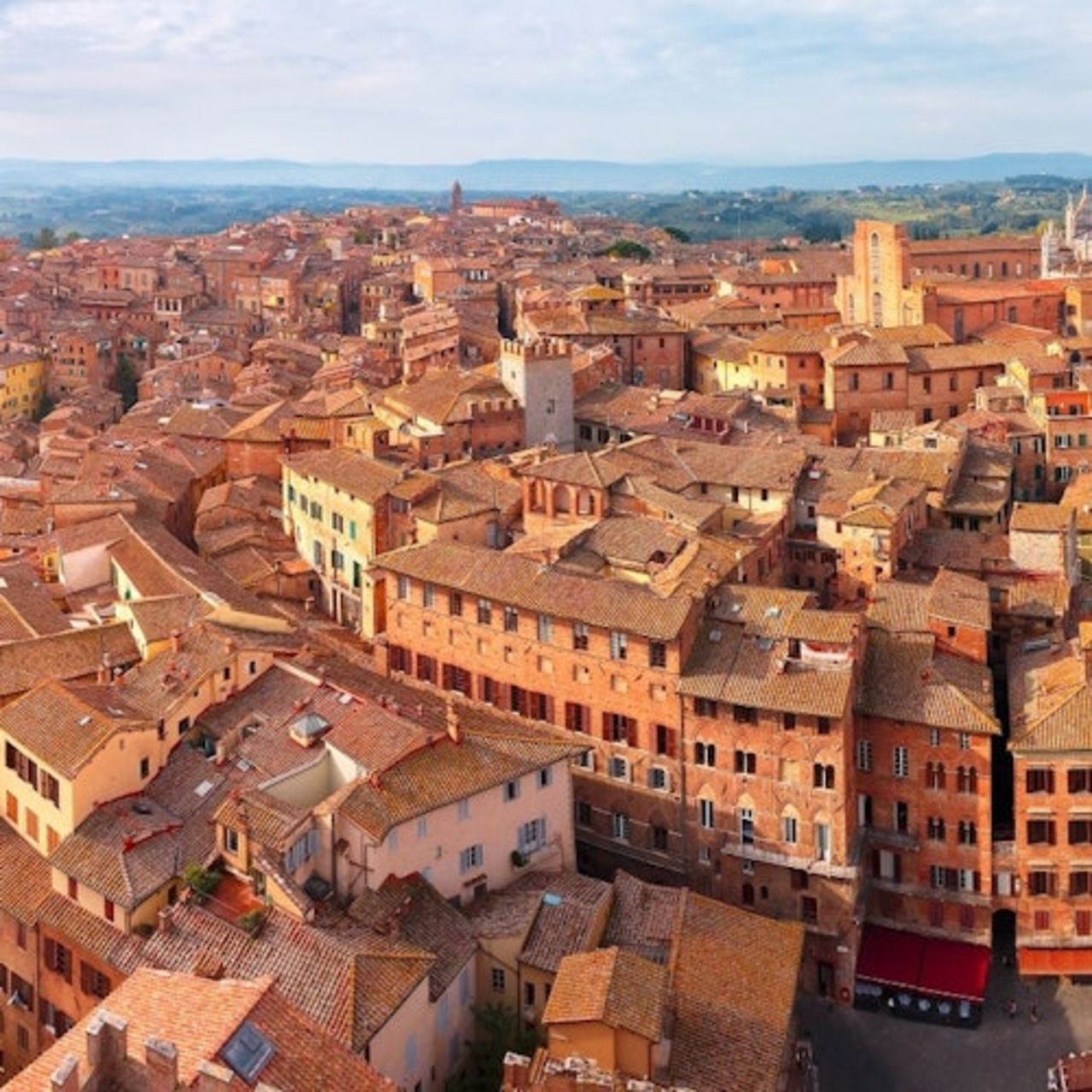 Pisa, Siena e San Gimigniano: Gita in giornata da Firenze + Degustazione vini — 6