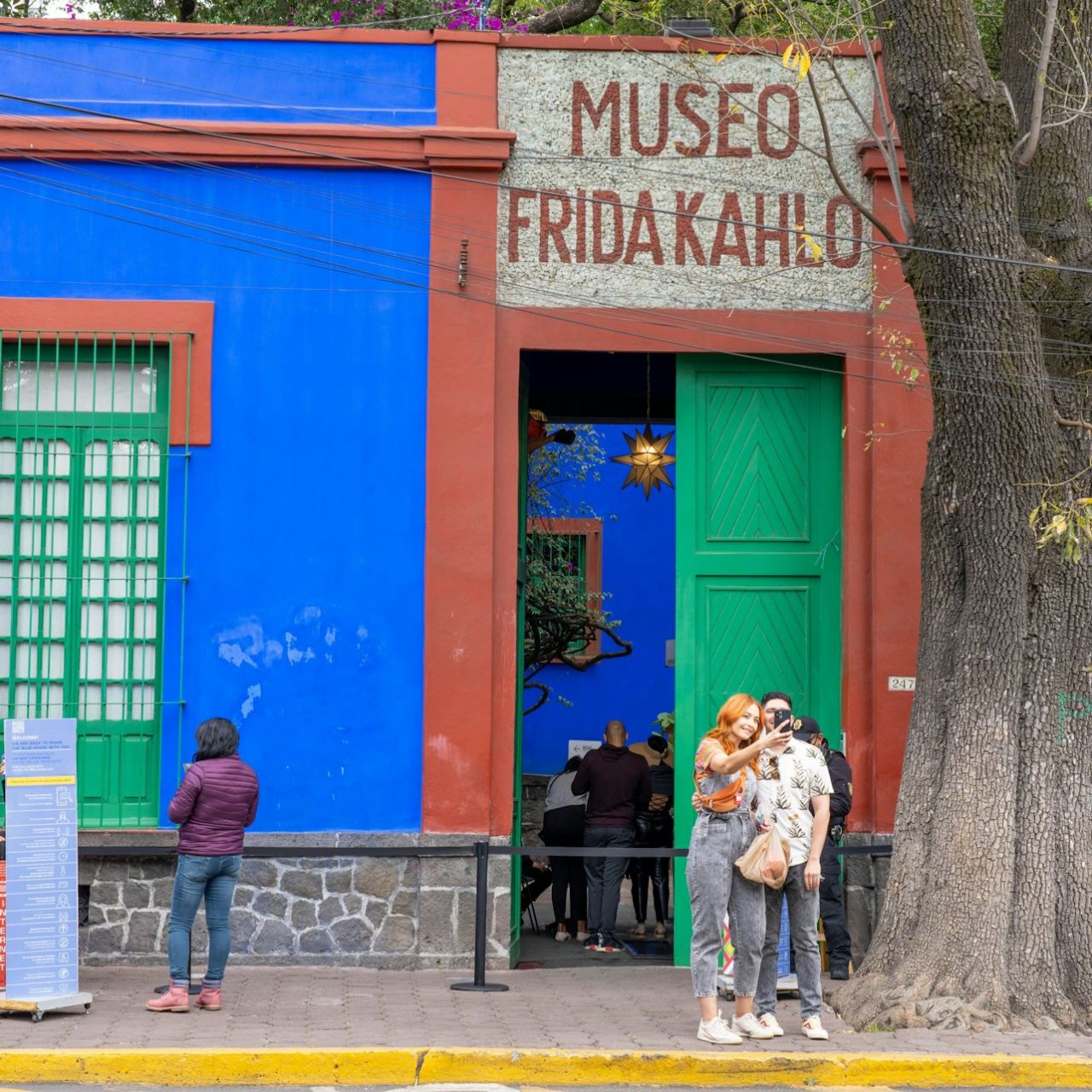 Museo Frida Kahlo e Anahuacalli: Biglietto d'ingresso + Guida digitale