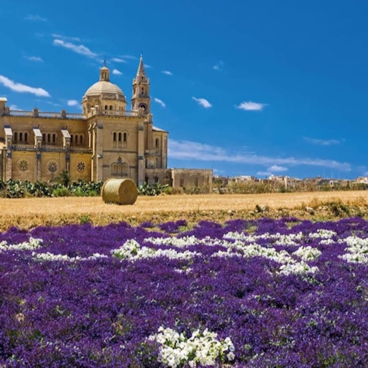 Safari in Jeep a Gozo — 8
