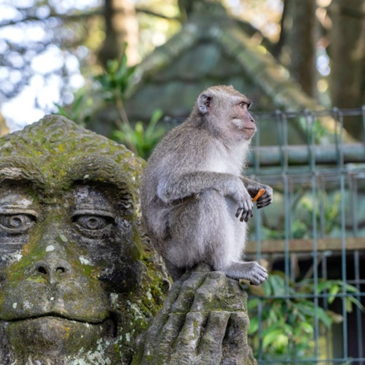 Tempio di Tanah Lot e Ubud: Tour guidato di un'intera giornata + trasferimento di andata e ritorno — 6