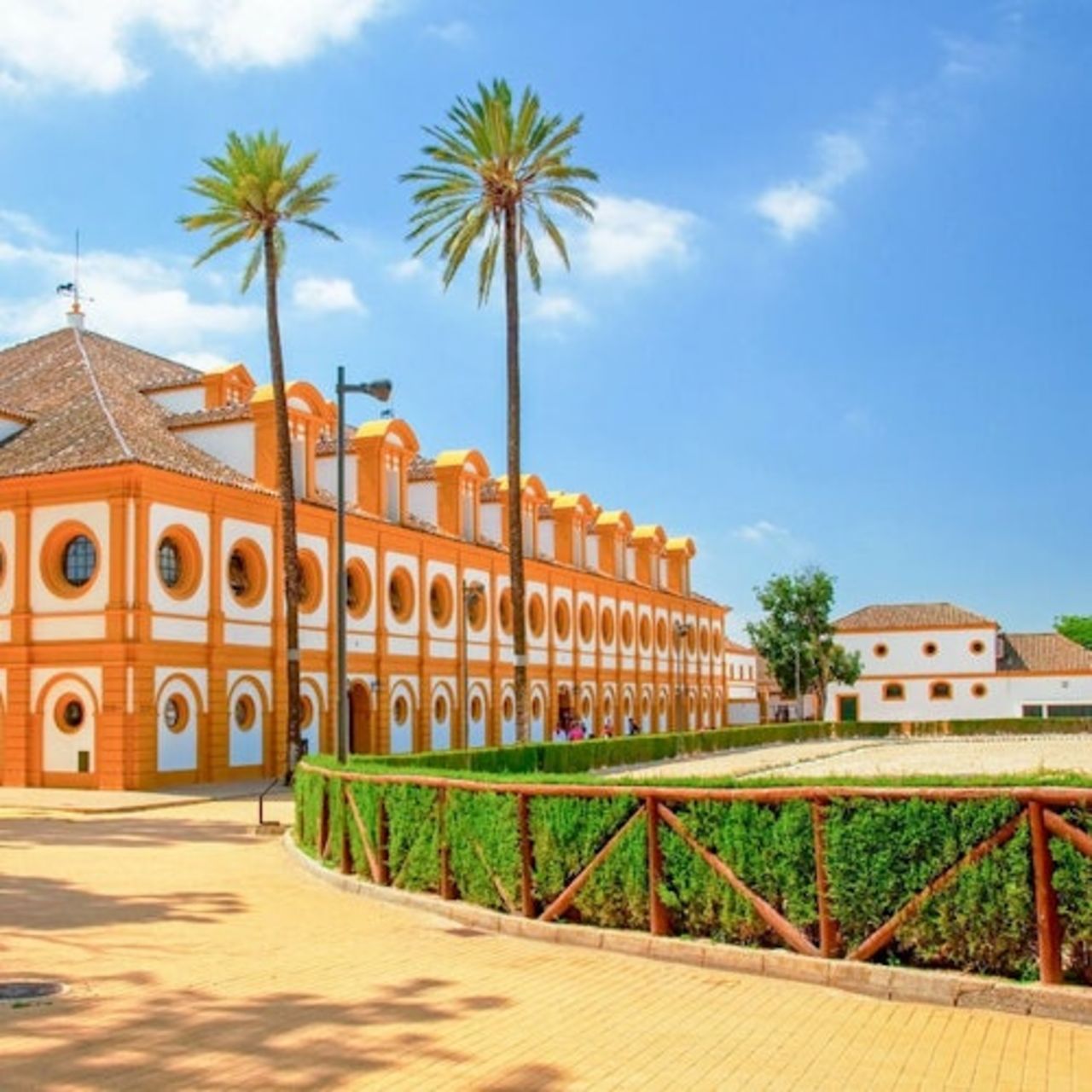 Scuola Reale Andalusa di Arte Equestre: Mostra del Cavallo Andaluso — 5