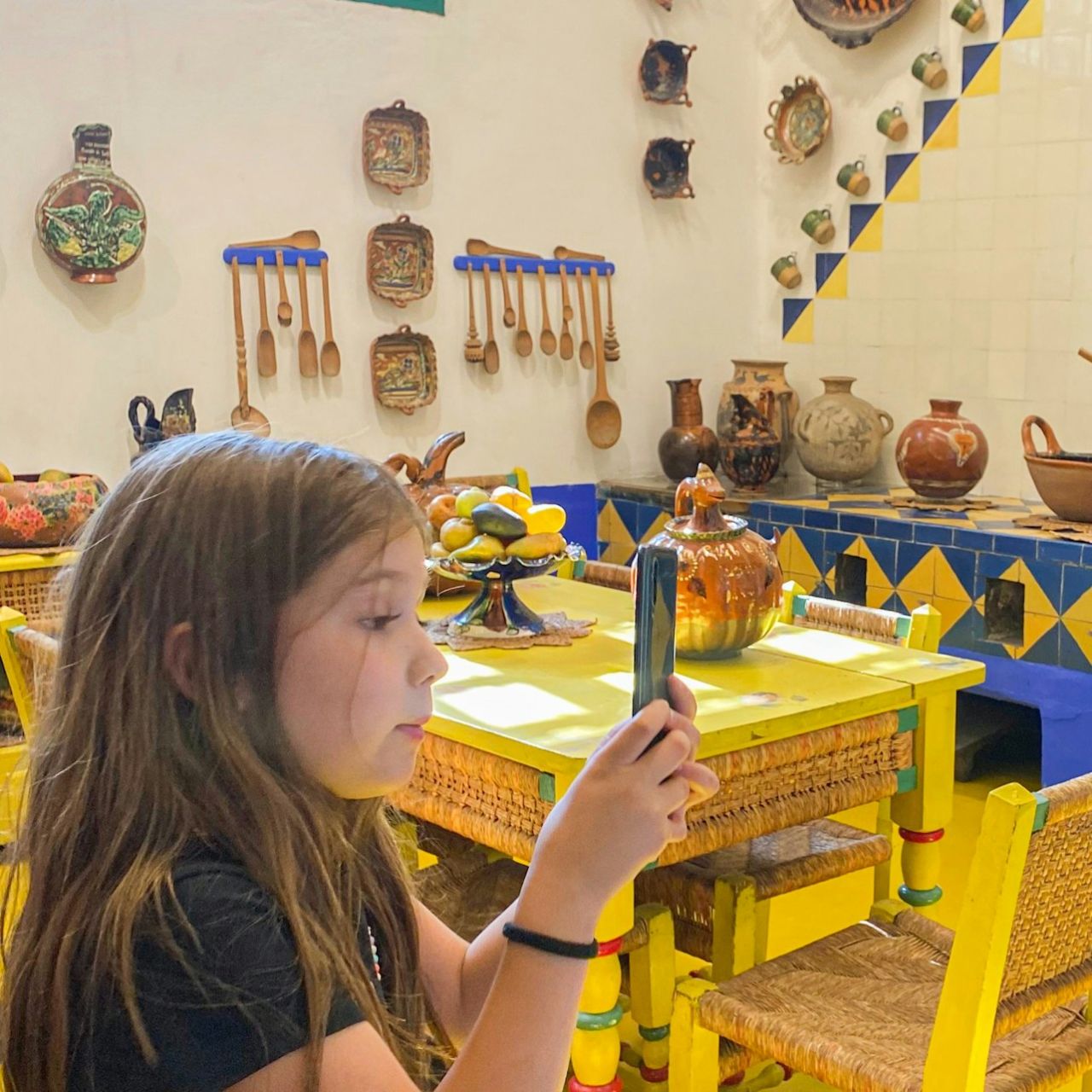 Museo Frida Kahlo e Anahuacalli: Biglietto d'ingresso + Guida digitale — 5