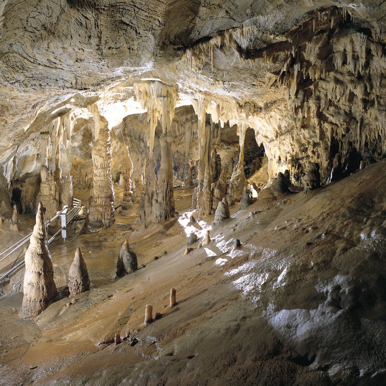 Grotte di Toirano: Biglietto con accesso rapido