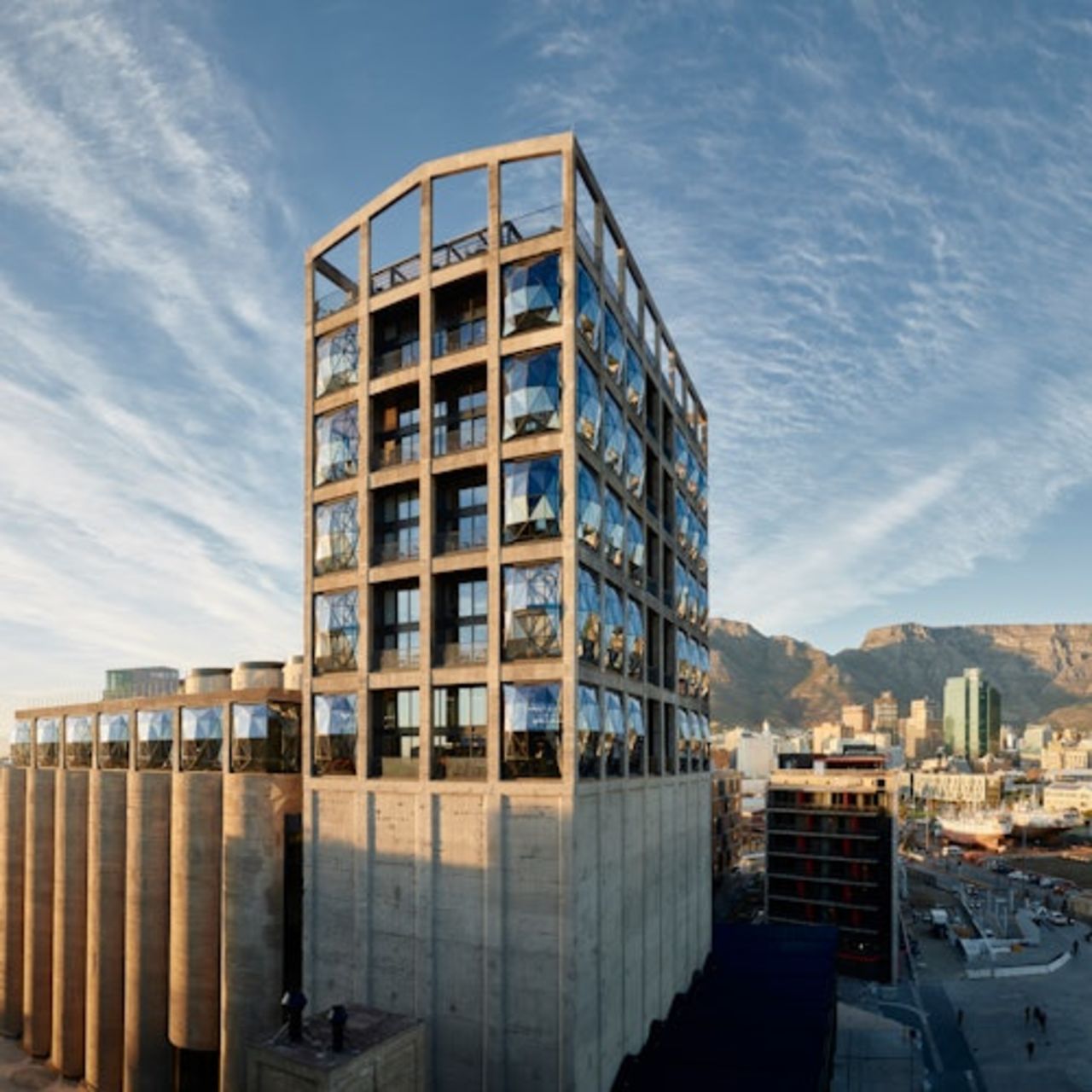 Zeitz MOCAA Museum: Biglietto con accesso rapido