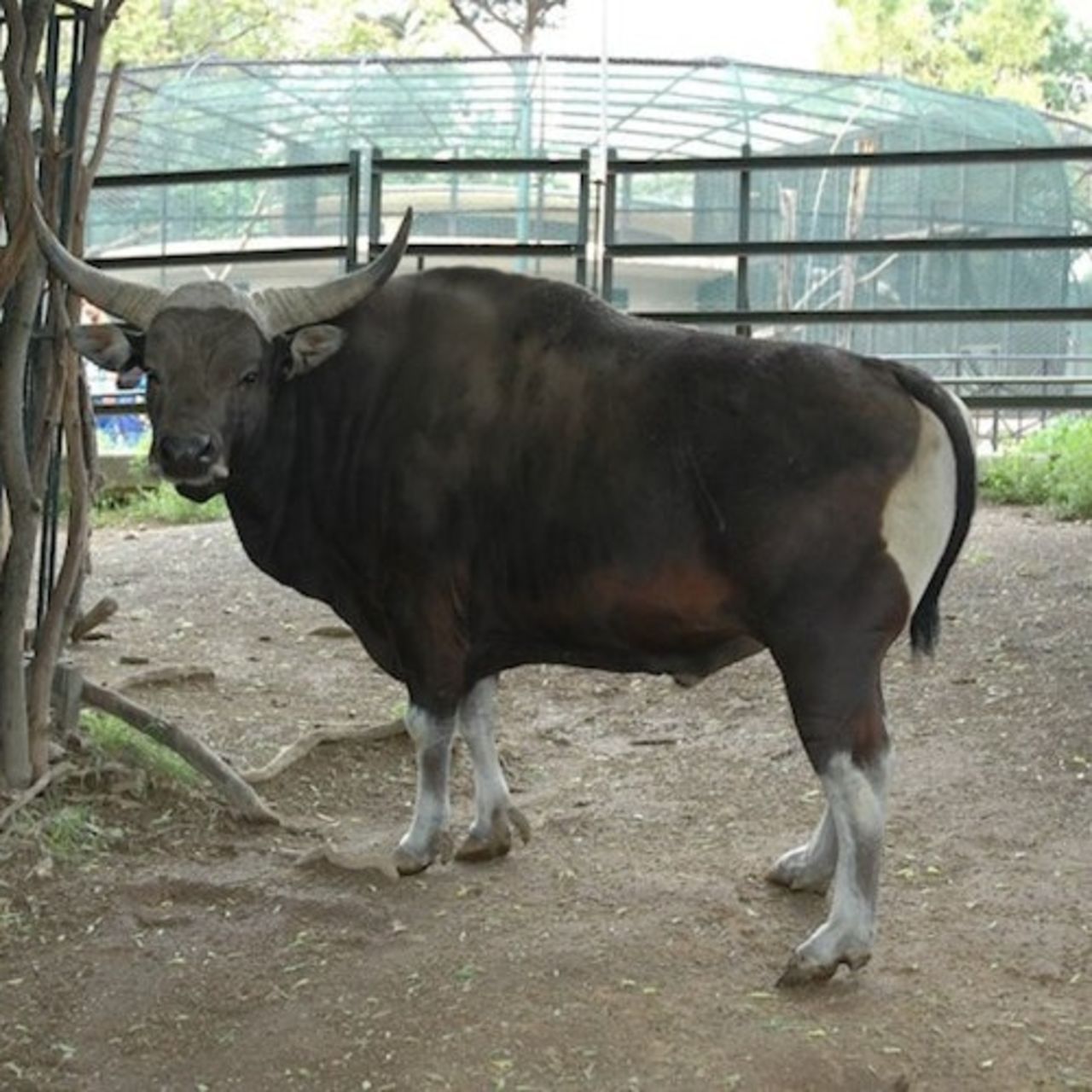 Bioparco - Zoo di Roma: Biglietto aperto — 7