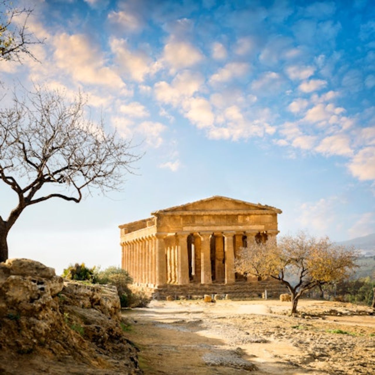 La Valle dei Templi: Biglietto d'ingresso