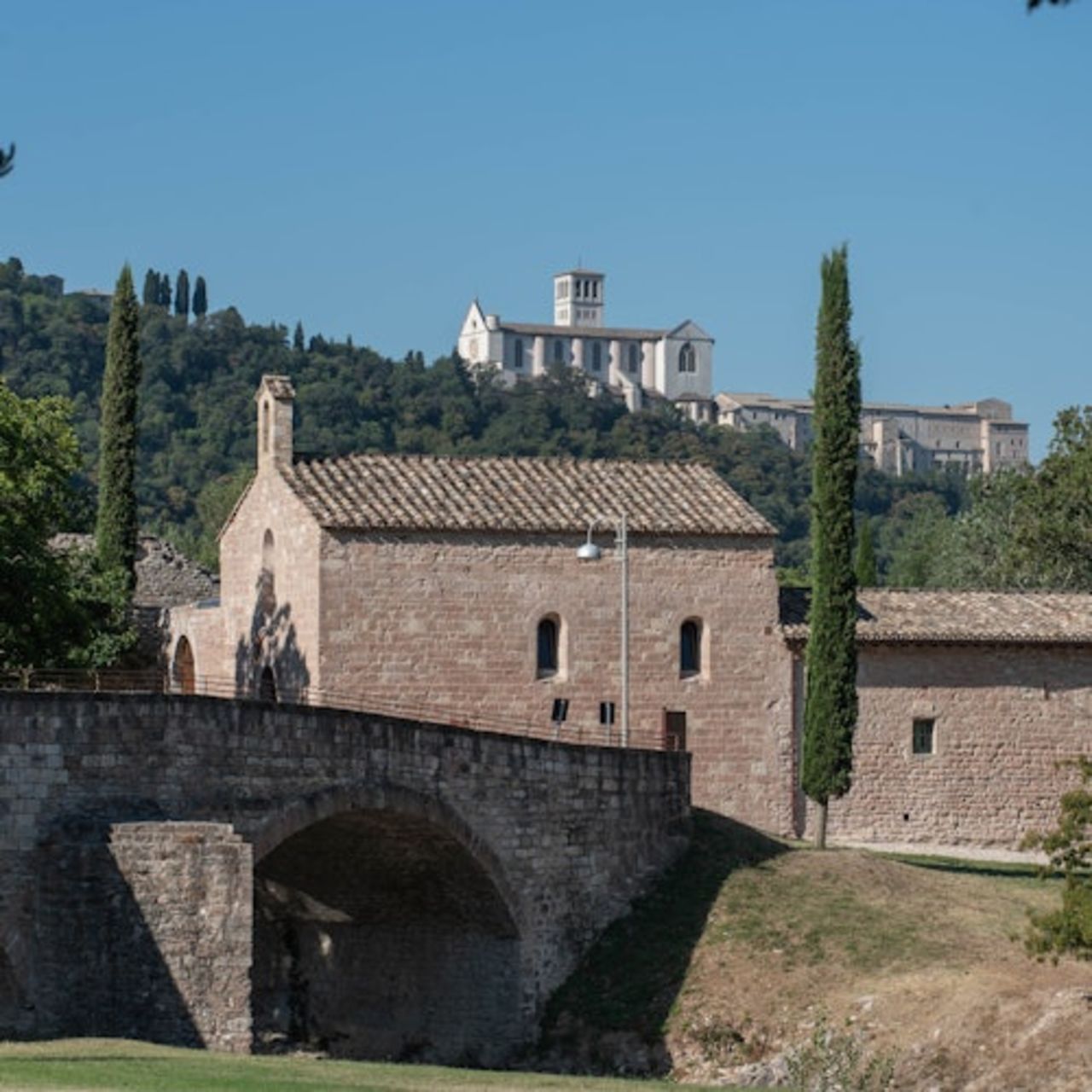 Bosco di San Francesco: Biglietto d'ingresso — 5