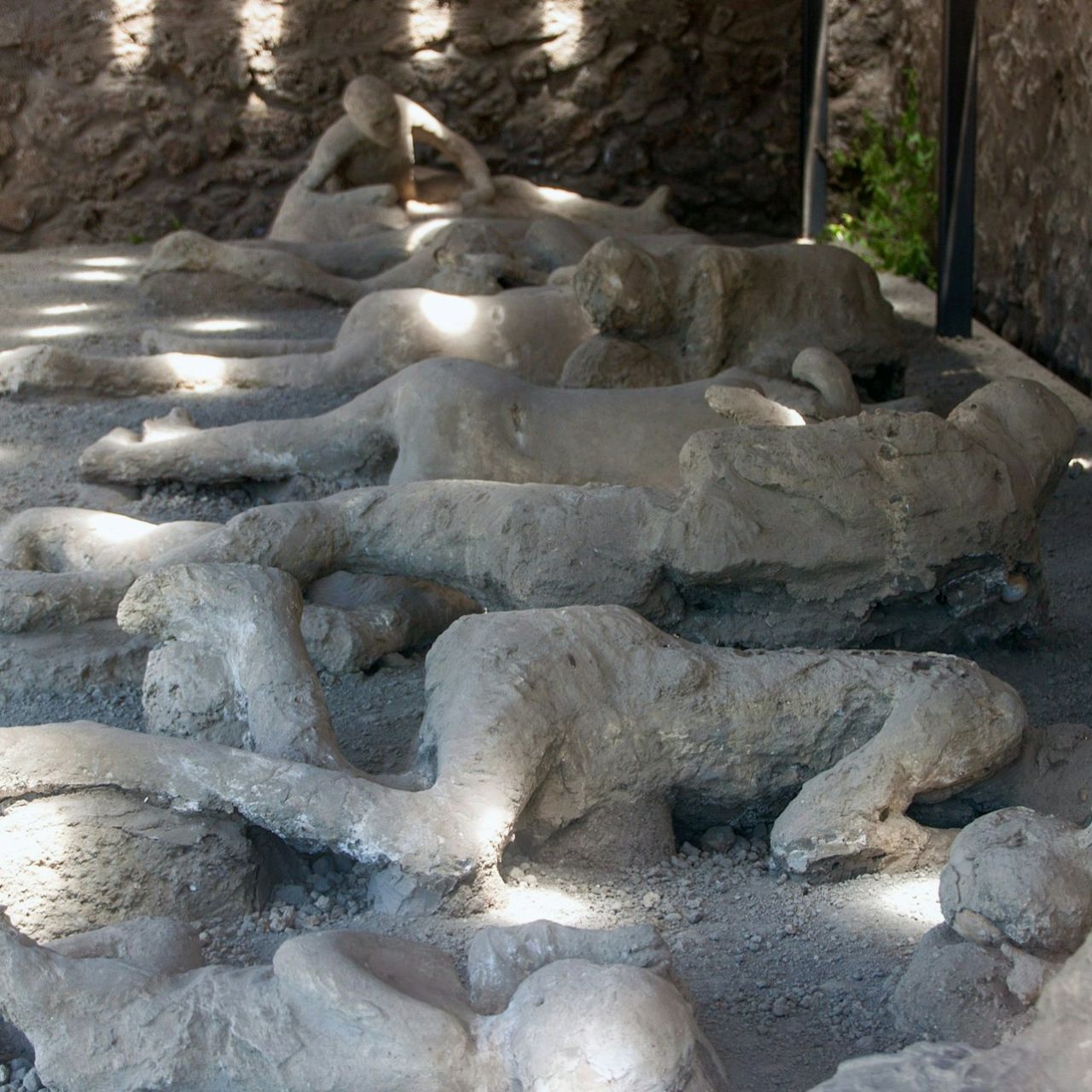 Pompei: Ingresso riservato — 6