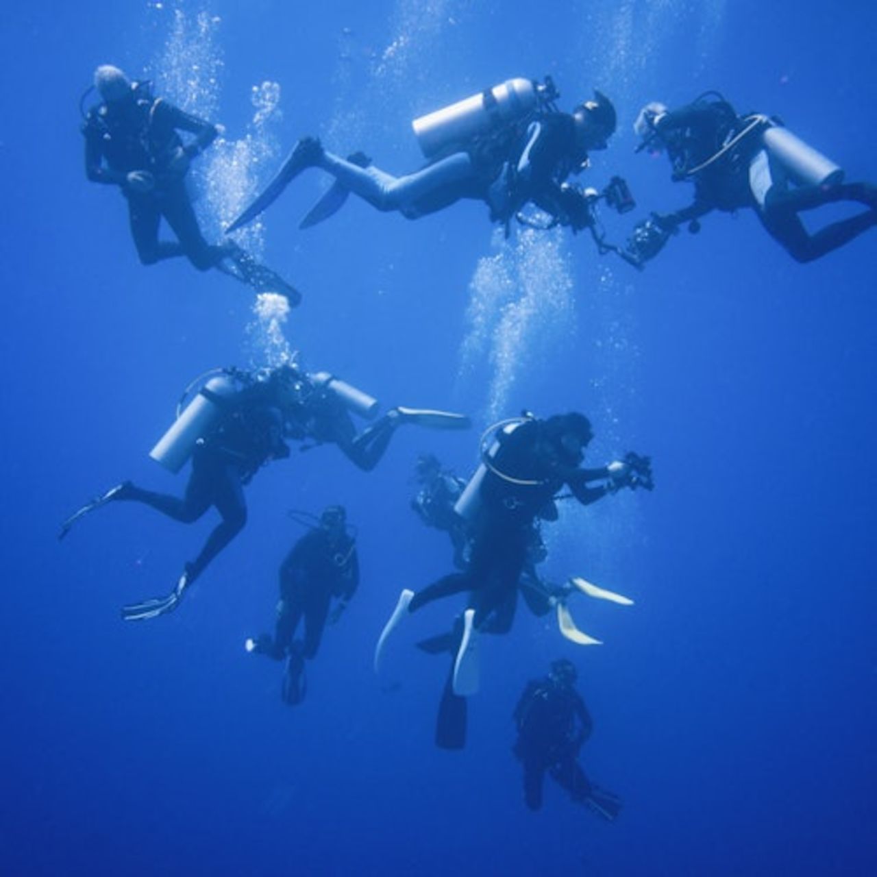 Hurghada: Avventura subacquea + trasferimenti + pranzo — 4