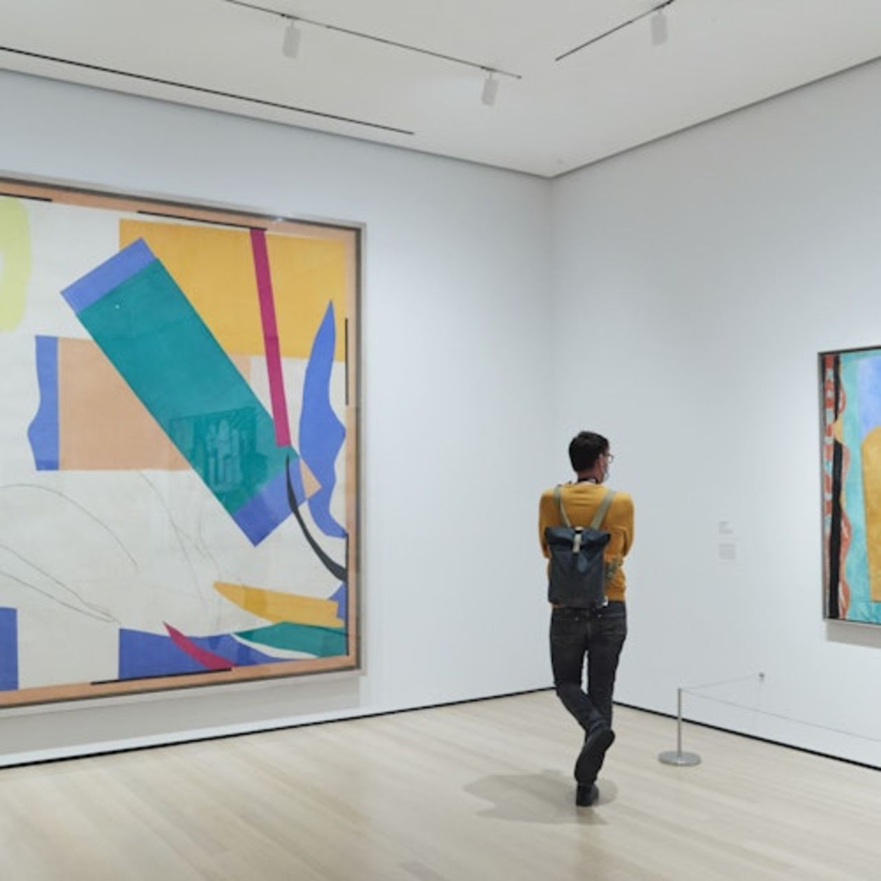 MoMa di New York: Biglietto d'ingresso — 2