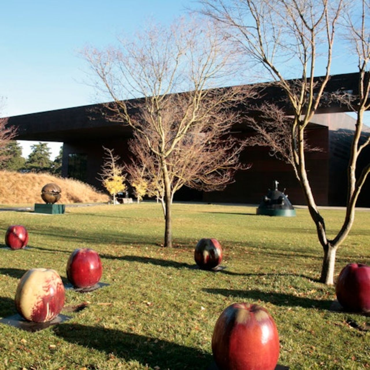 de Young Museum: Biglietto d'ingresso — 4
