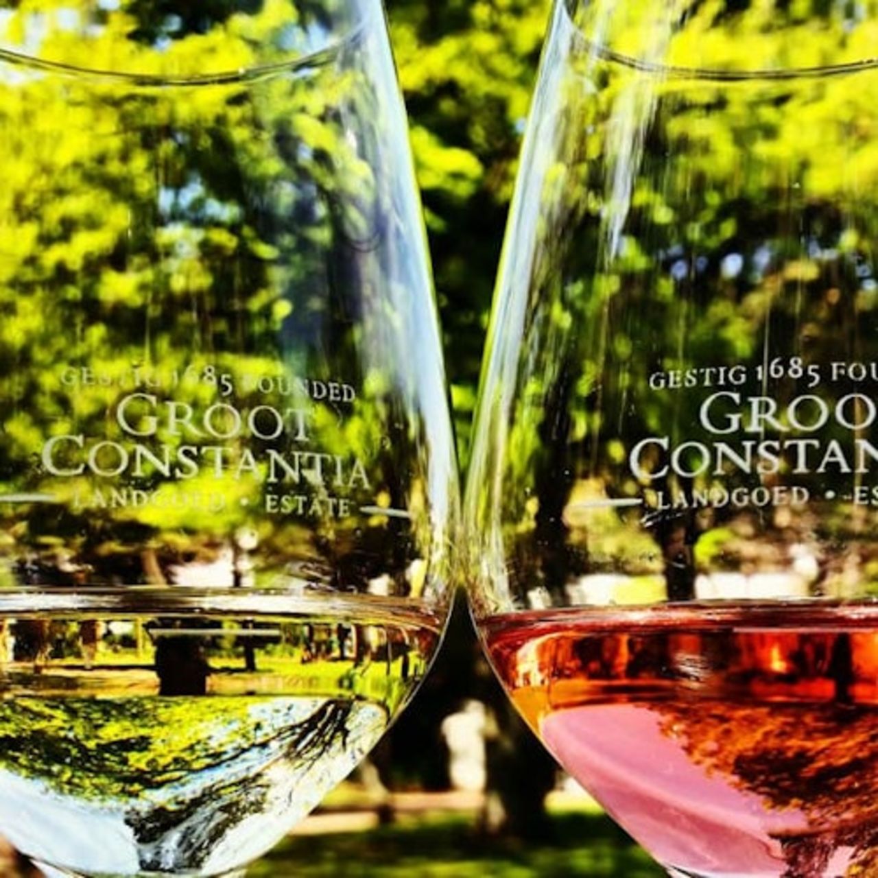 Azienda vinicola Groot Constantia — 4