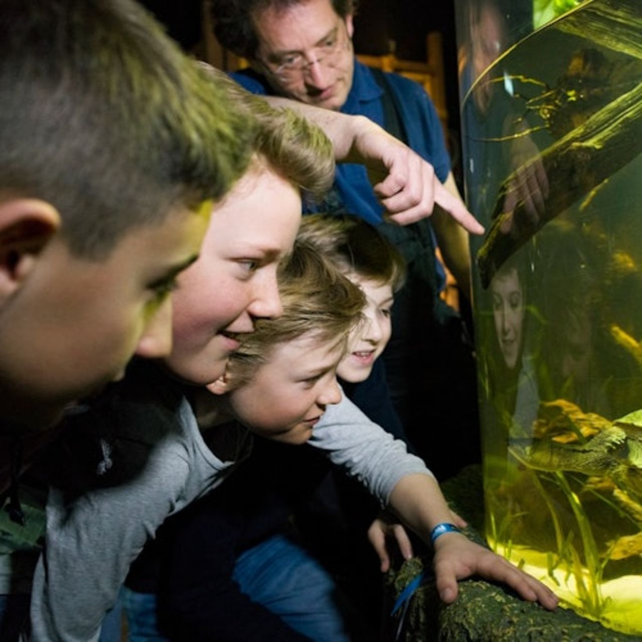 SEA LIFE di Monaco di Baviera: Biglietto d'ingresso — 3