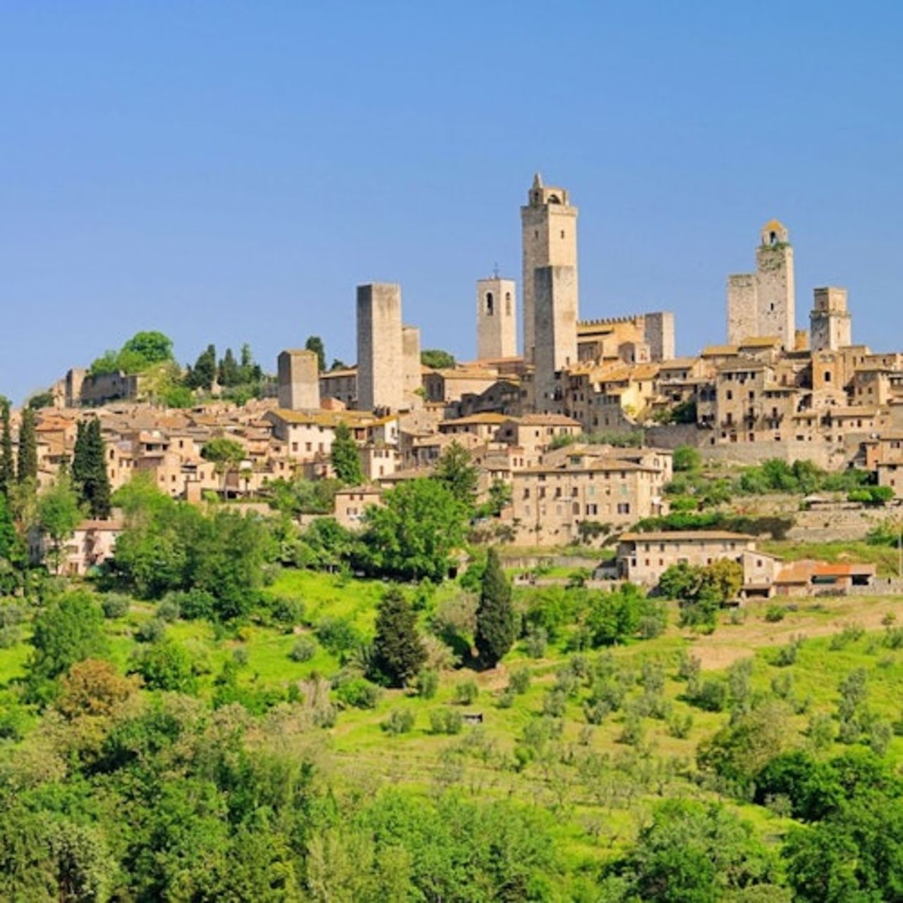 Siena, San Gimignano e Monteriggioni in giornata da Firenze + Degustazione vini — 6