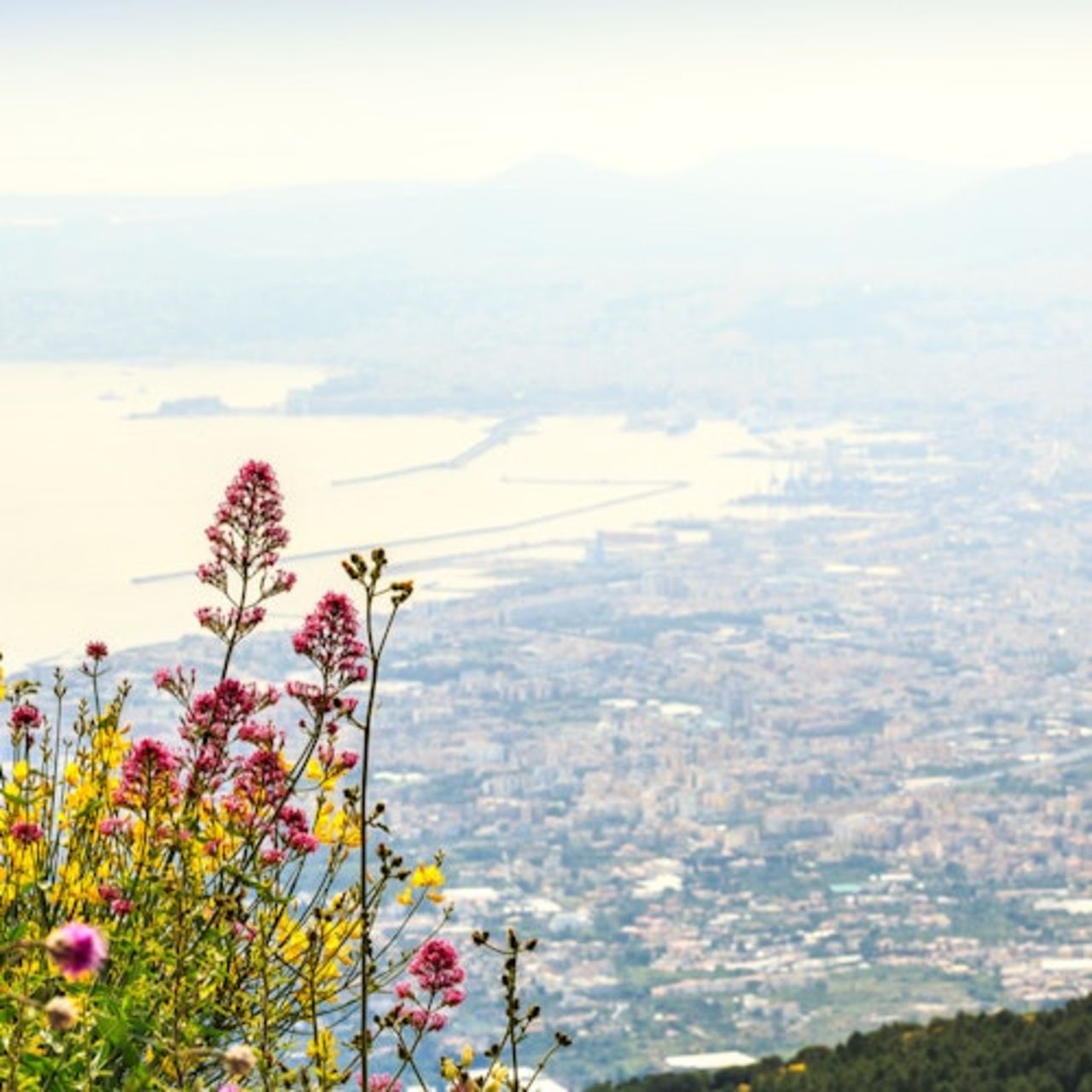 Pompei e Vesuvio: Biglietto salta-coda + Viaggio di andata e ritorno da Napoli — 7