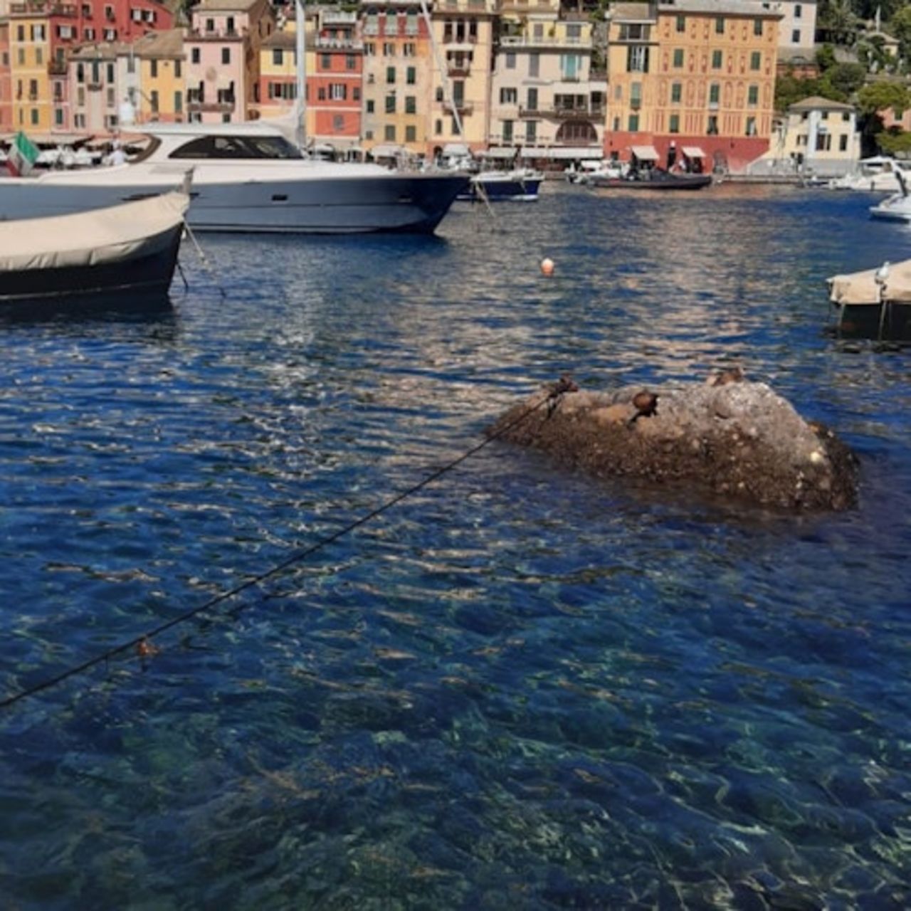 Portofino: tour in autobus da Genova — 8