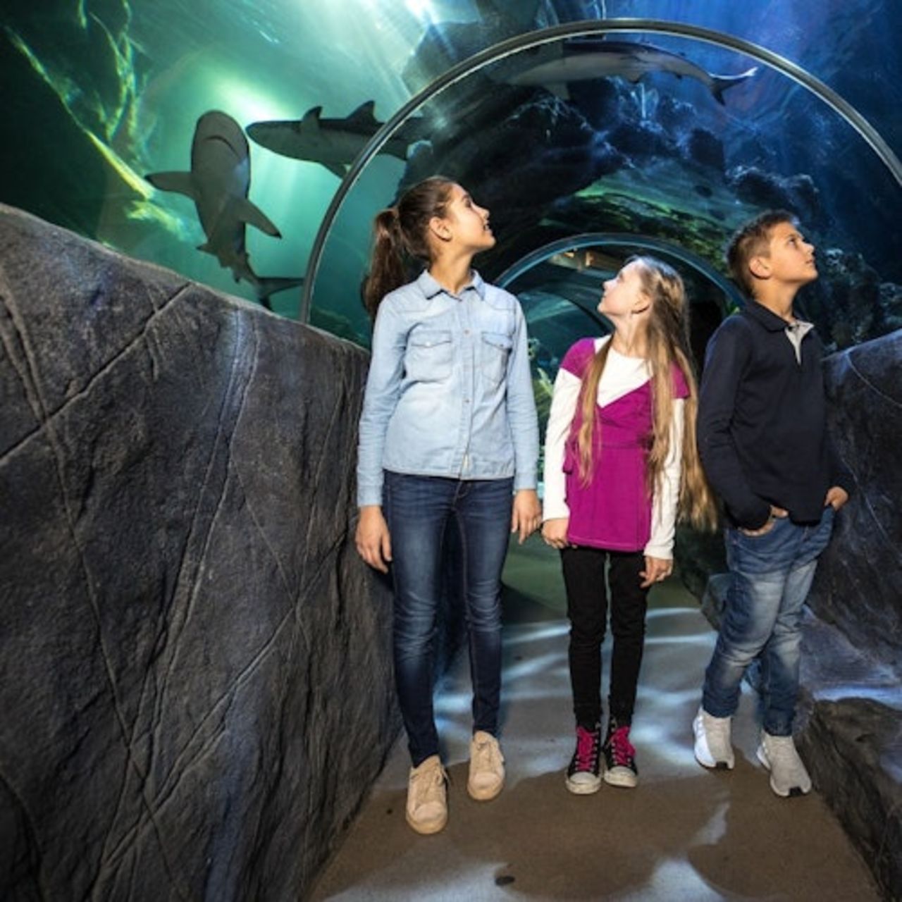 SEA LIFE di Monaco di Baviera: Biglietto d'ingresso — 2
