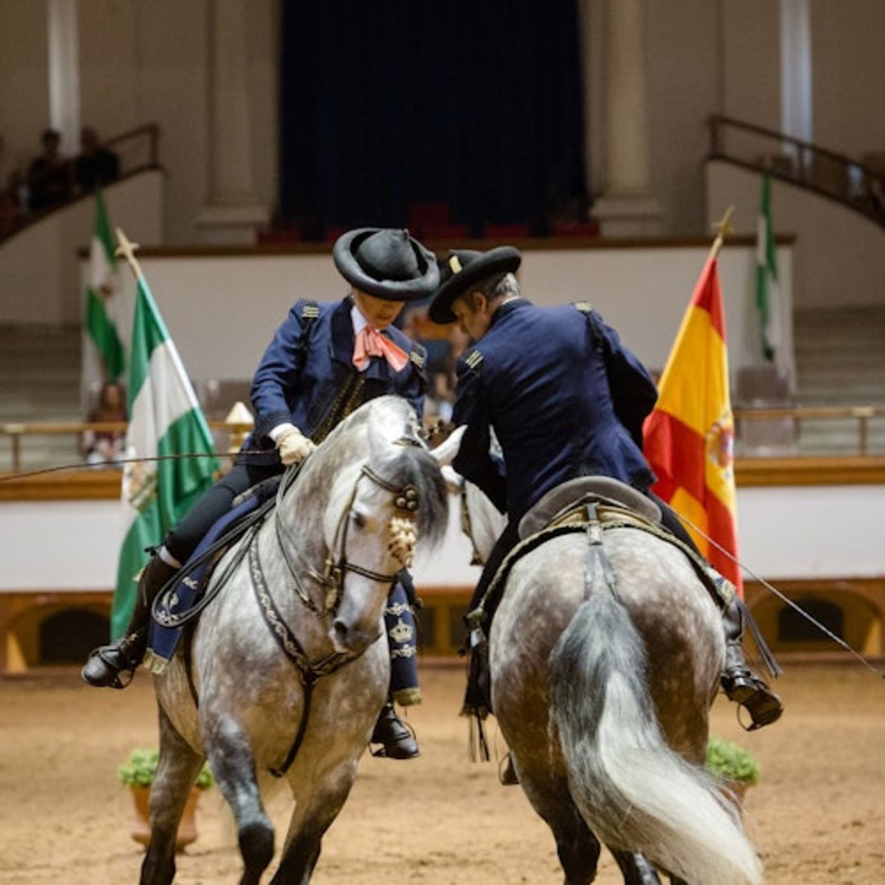 Scuola Reale Andalusa di Arte Equestre: Visita completa + Upgrade VIP opzionale — 3