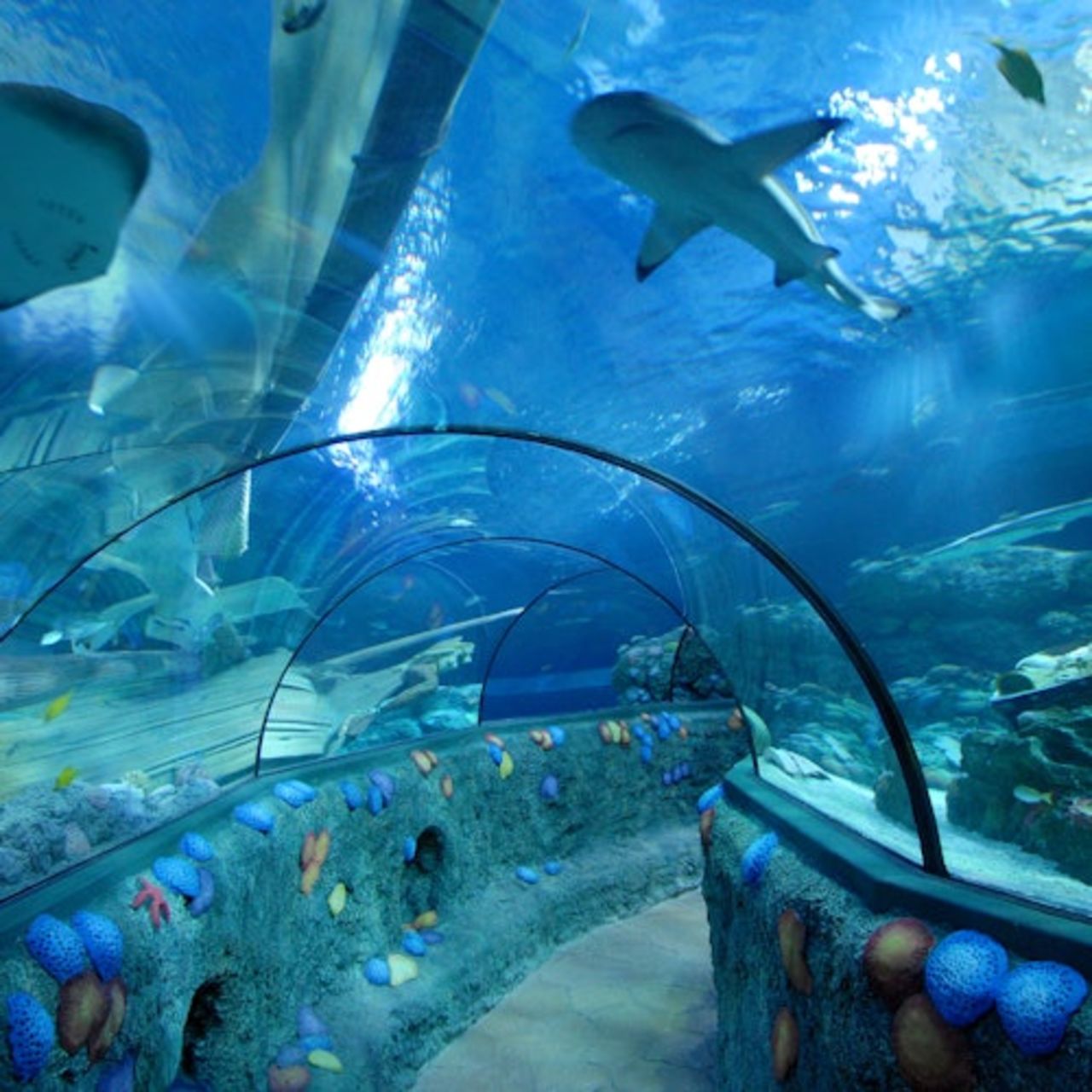 Gardaland Park + Gardaland SEA LIFE Aquarium — 7