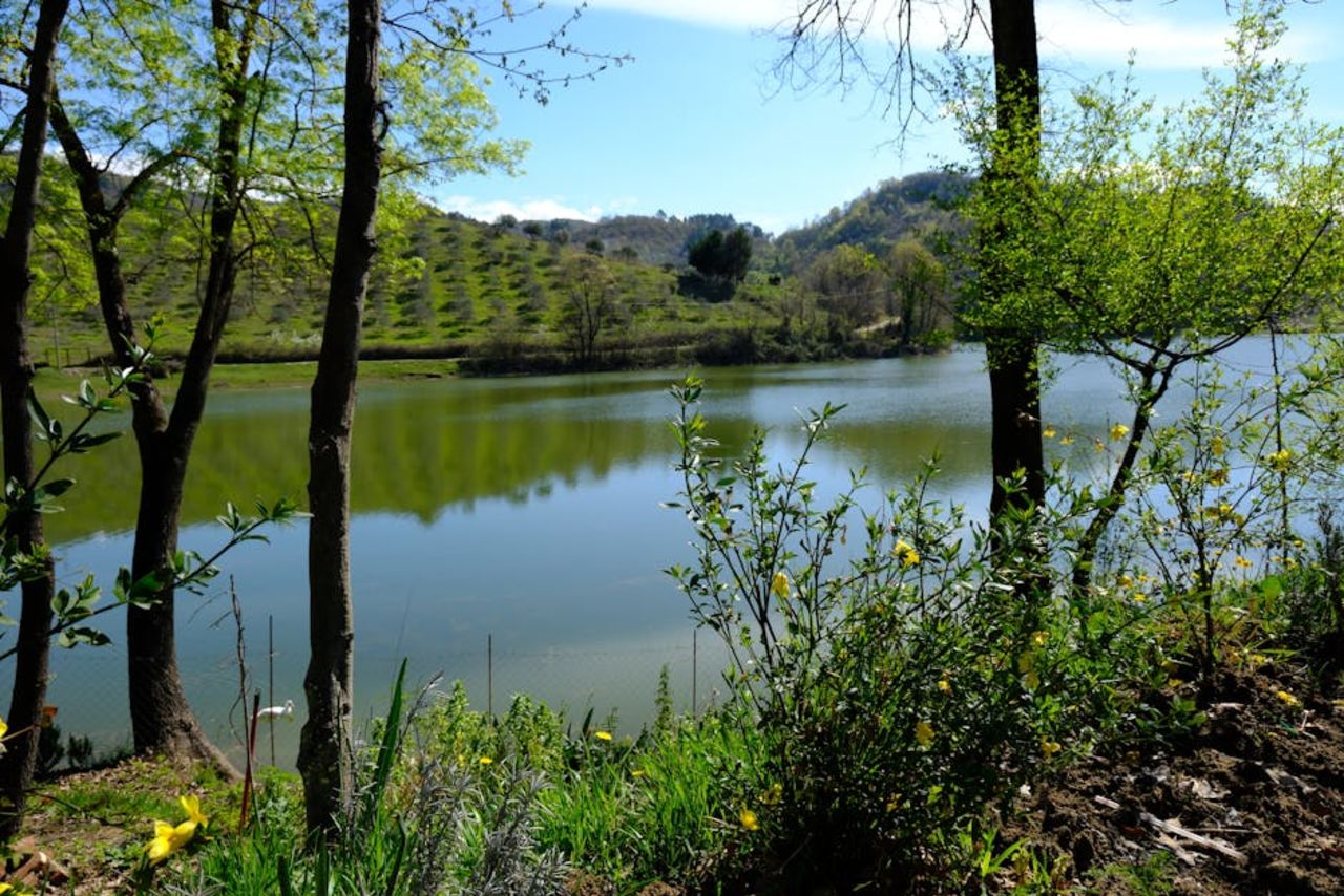 Scopri i Laghi Balneabili di Roma in Primavera