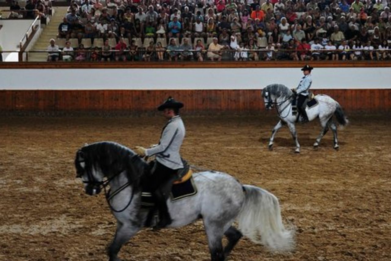 Jerez e Cadice con balletto a cavallo e degustazione di sherry da Siviglia