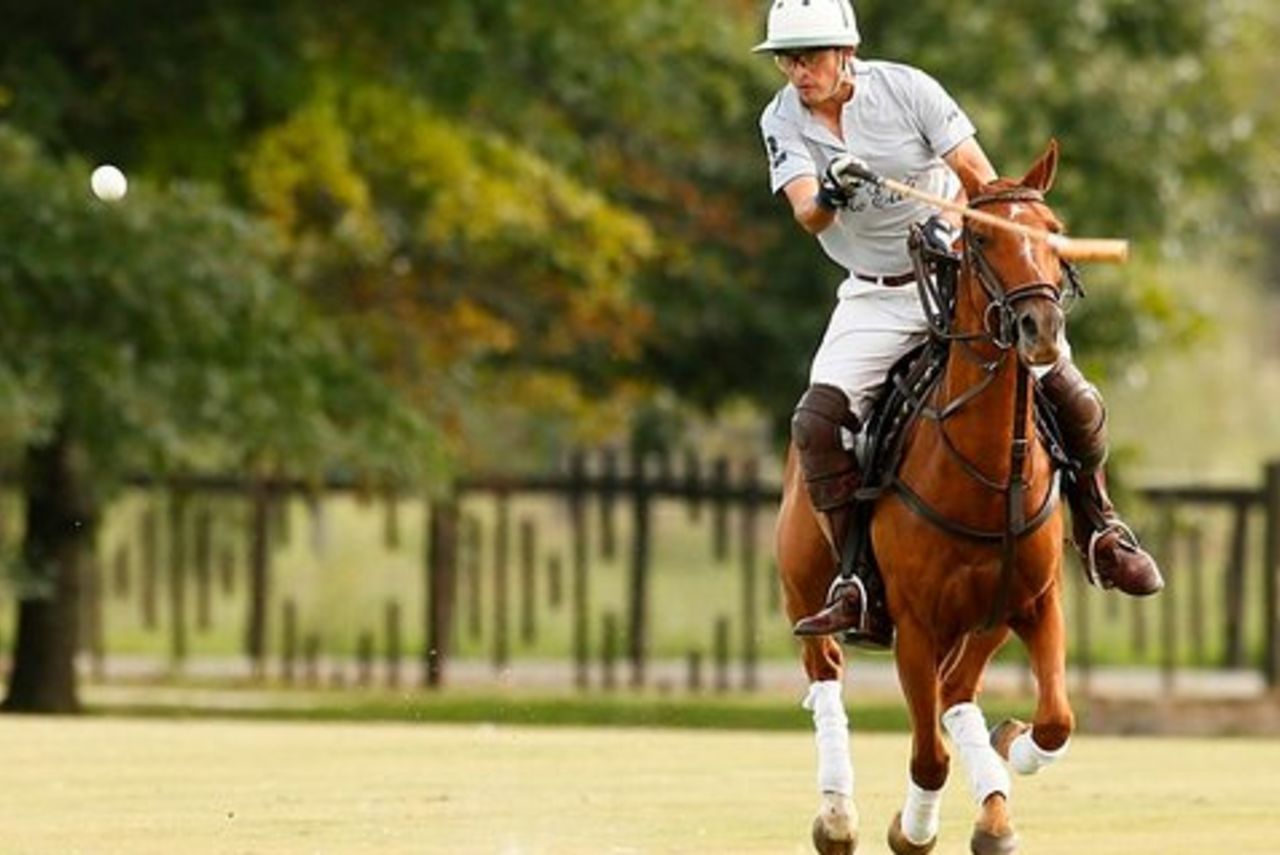 Lezioni di polo da Buenos Aires di Polo Elite