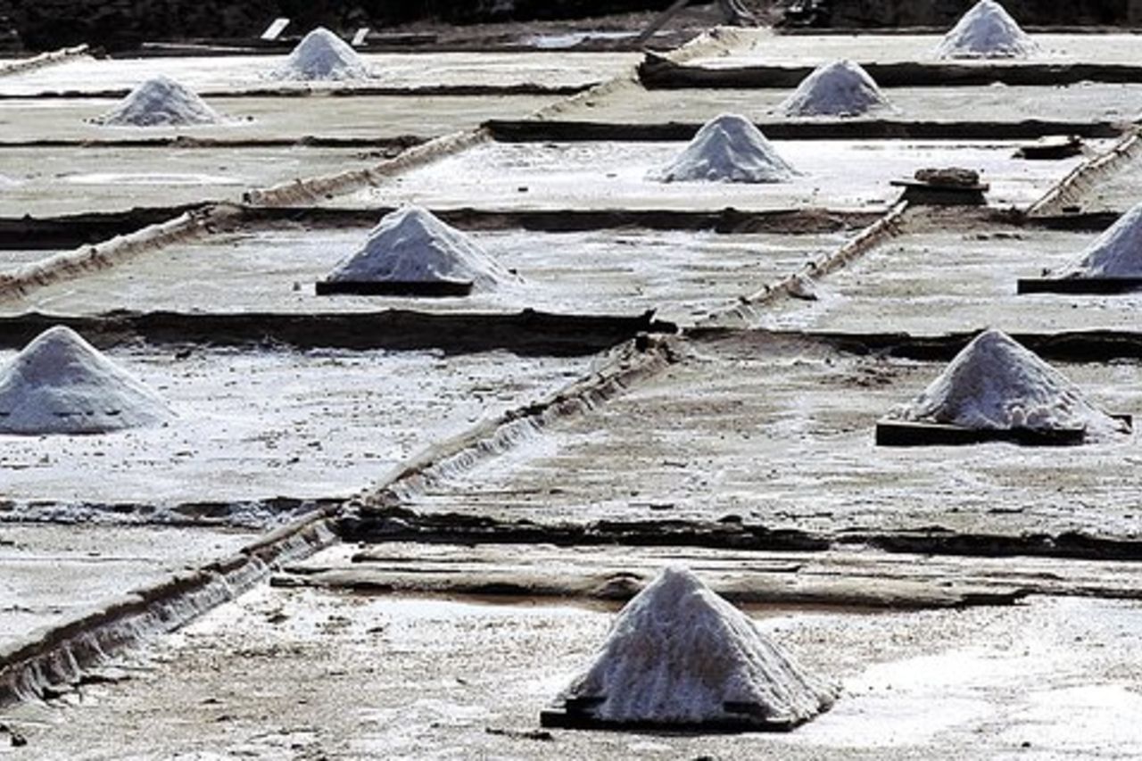 Bilbao: Scopri Añana Salt Valley e Vitoria