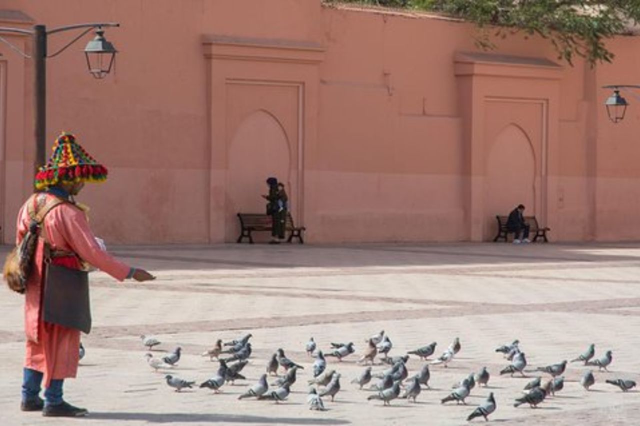 Tour a piedi della Medina di Marrakech
