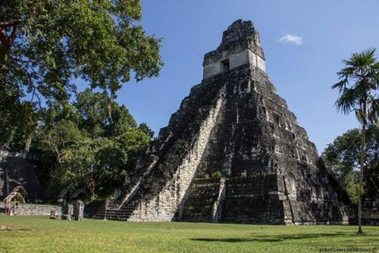 Gita di un giorno alle rovine Maya di Tikal, incluso il pranzo