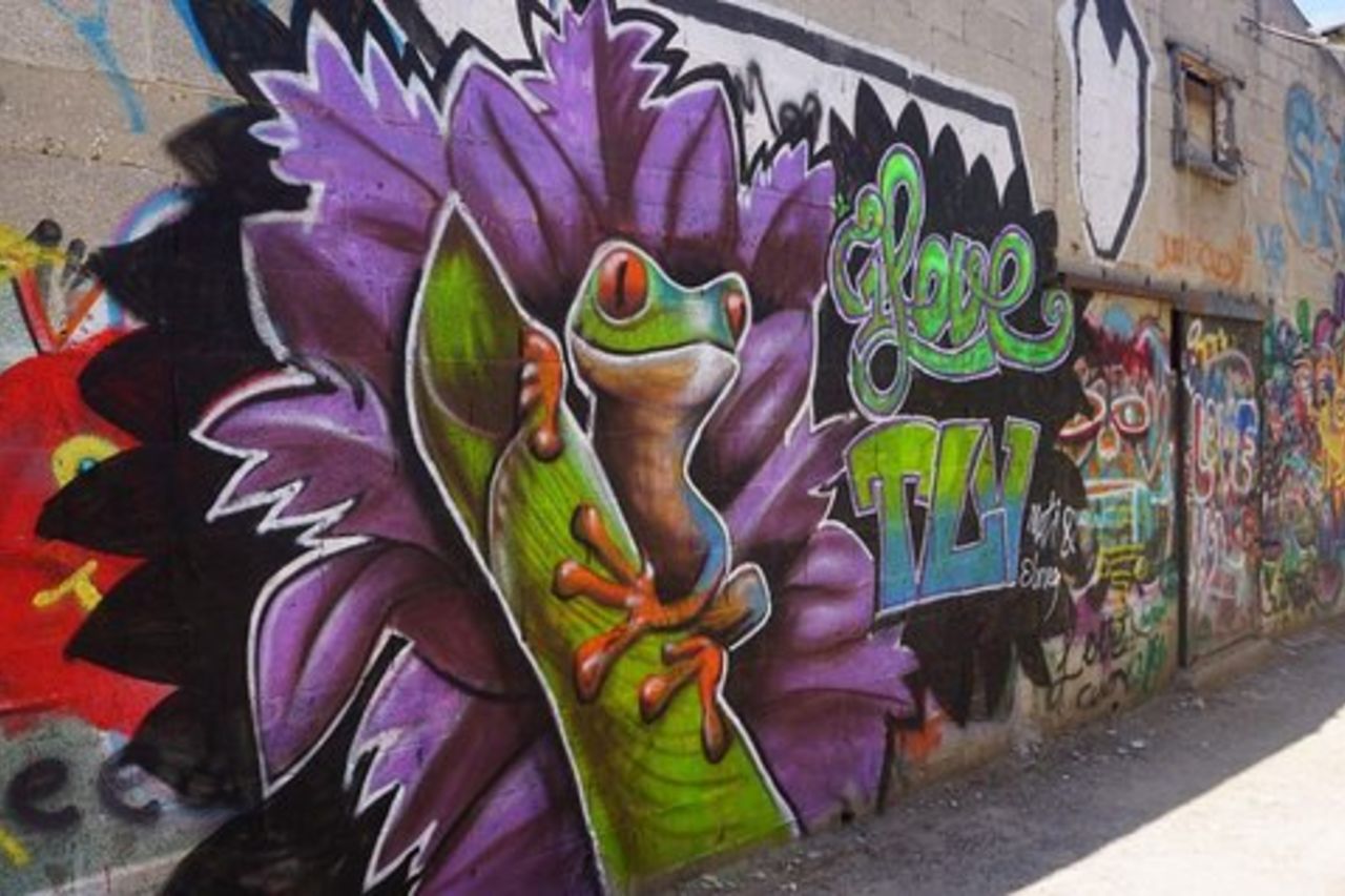 Tour di Tel Aviv Street Art & Graffiti