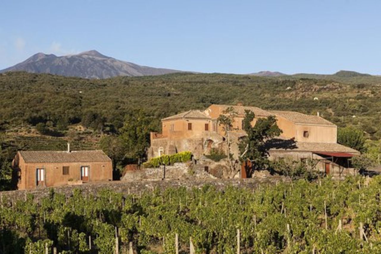 Tour privato di 6 ore di tre cantine dell'Etna con degustazione enogastronomica