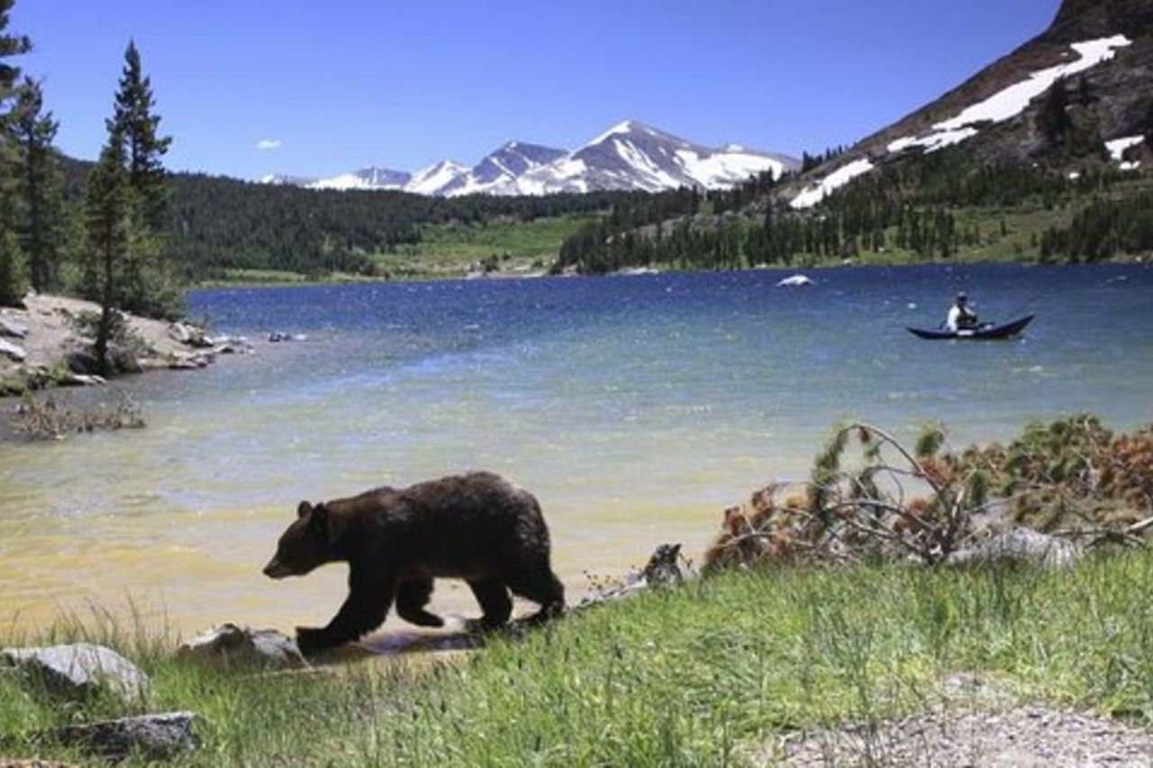 Gita di un giorno per piccoli gruppi di Yosemite e sequoie giganti da San Francisco
