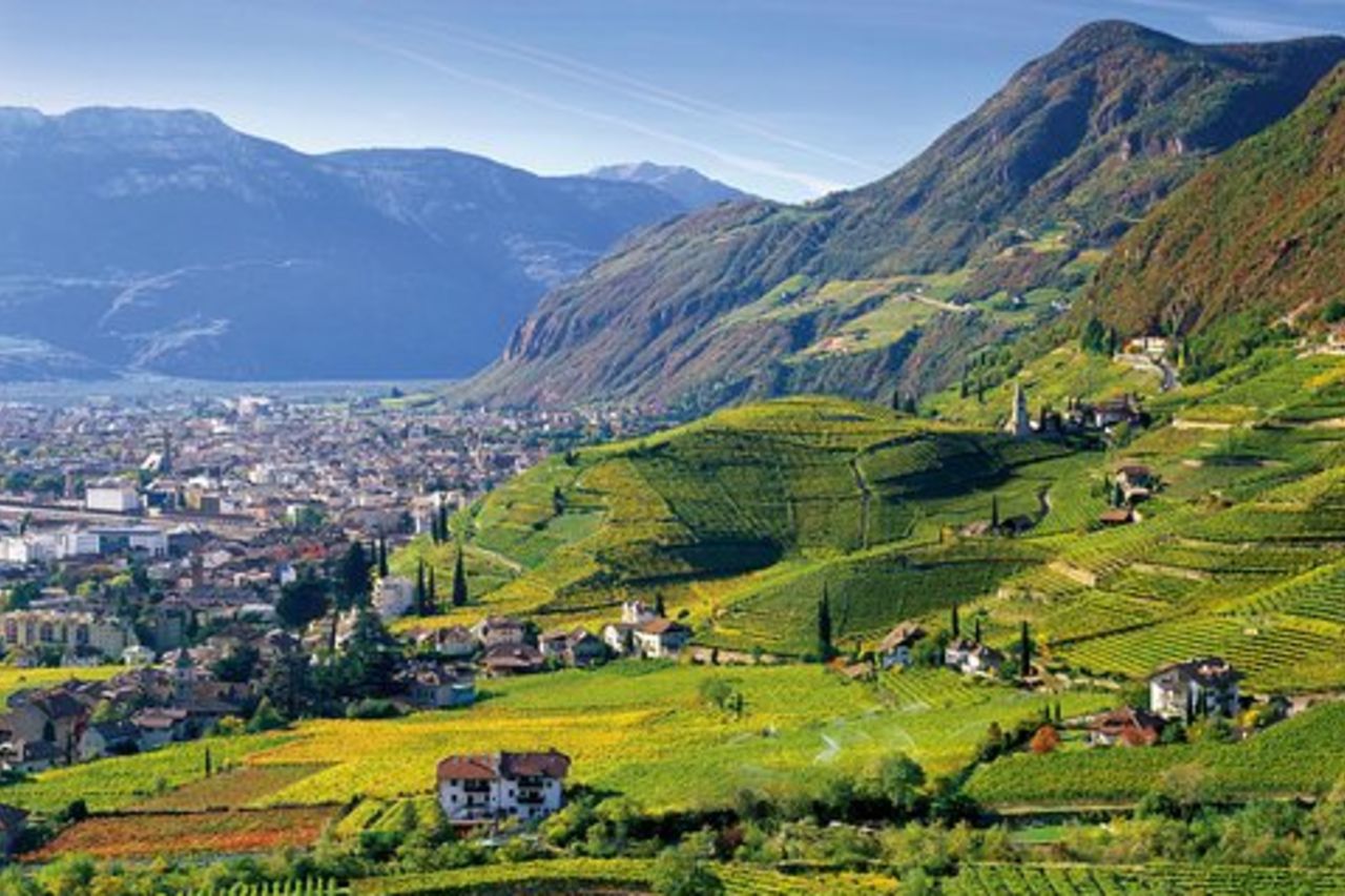 Private Tour The ultimate Alto Adige wine & food experience