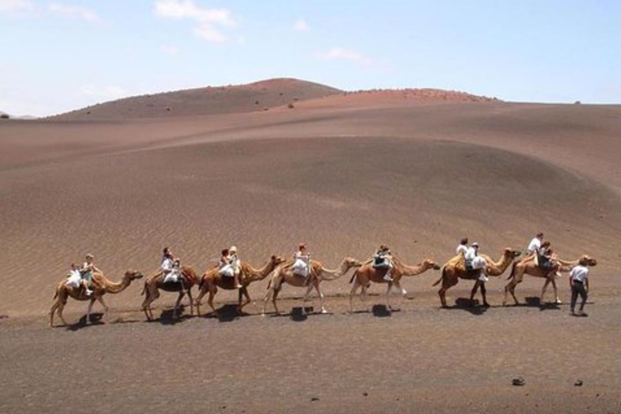 Tour di un'intera giornata a Timanfaya, Laguna Verde e La Geria