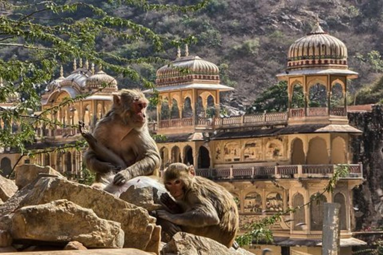 Tour privato della città di un'intera giornata a Jaipur