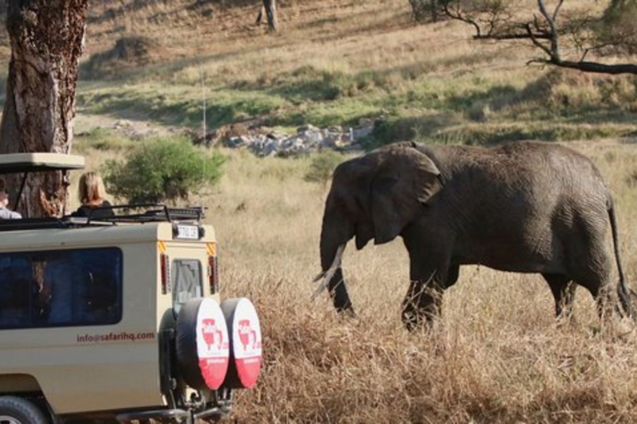 Safari di 3 giorni nel parco nazionale del Serengeti e nel cratere di Ngorongoro
