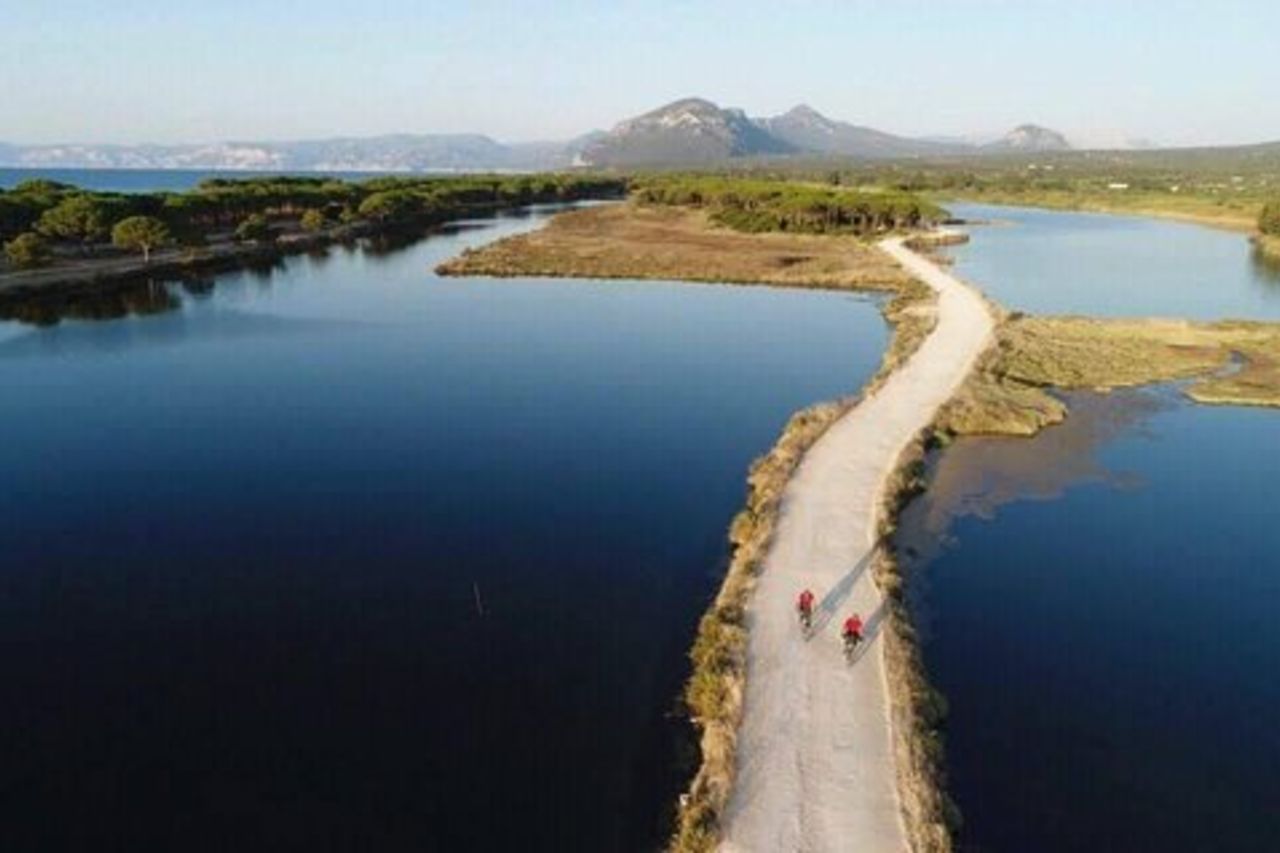 Dalle colline a Oasi Biderosa e Capo Comino con mountain bike elettriche